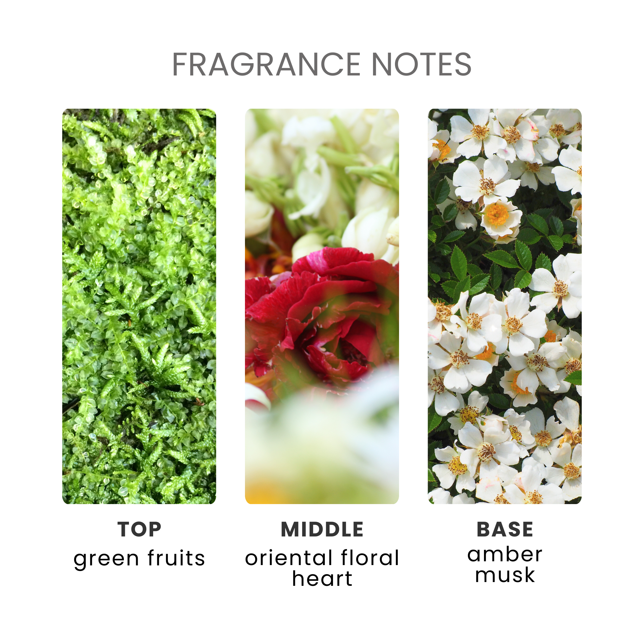 Alien Invasion Fragrance Oil Notes