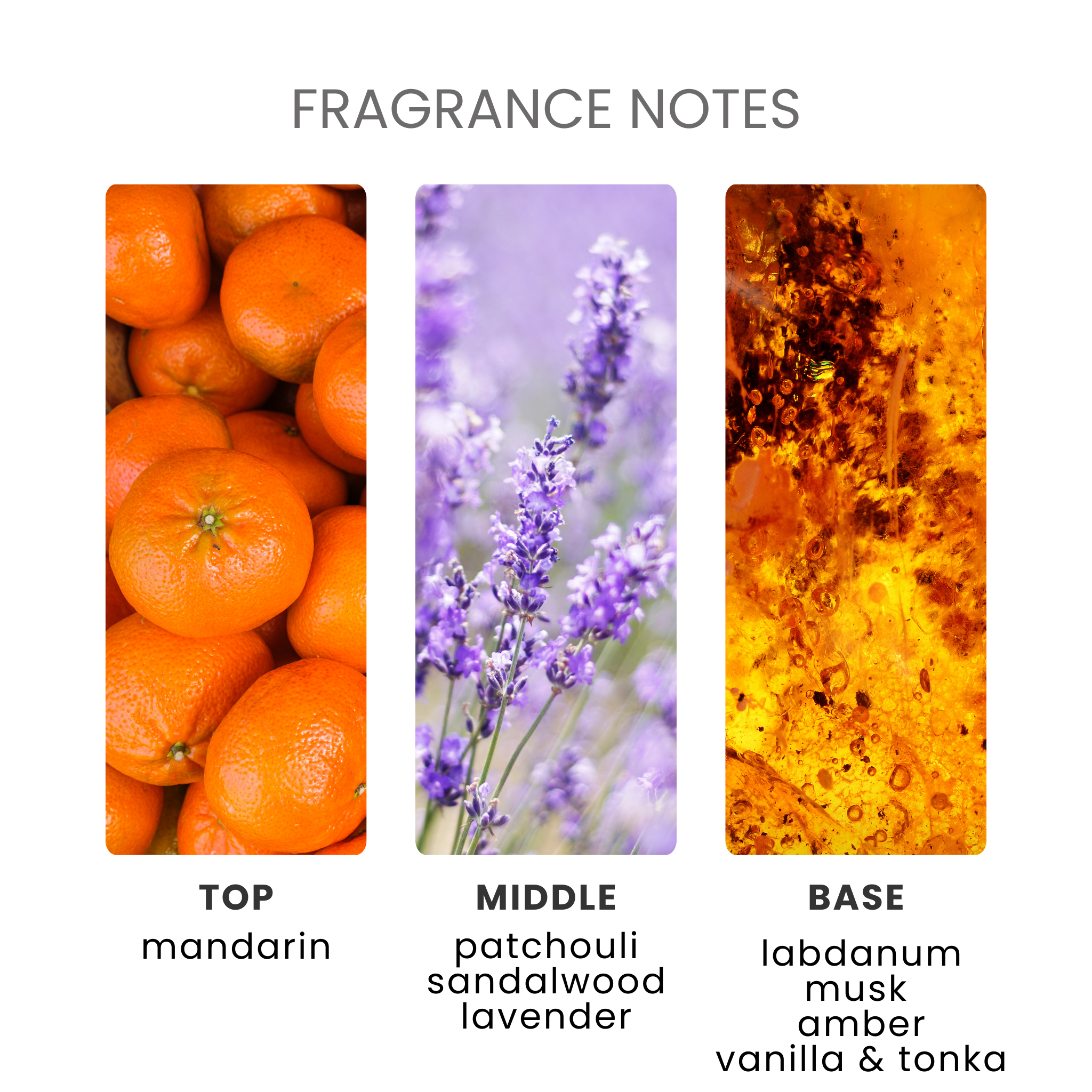 Amber Solstice Fragrance Oil Notes