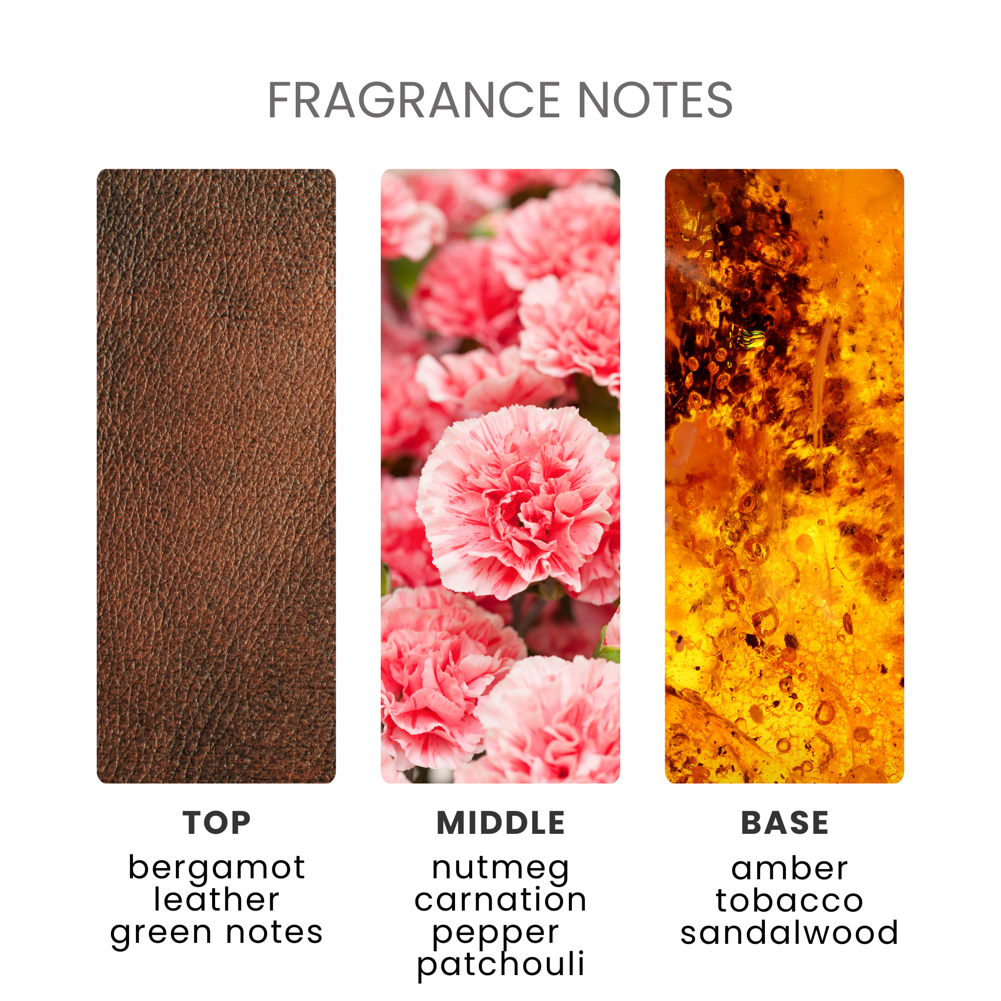 Antique Bookstore Fragrance Oil Notes