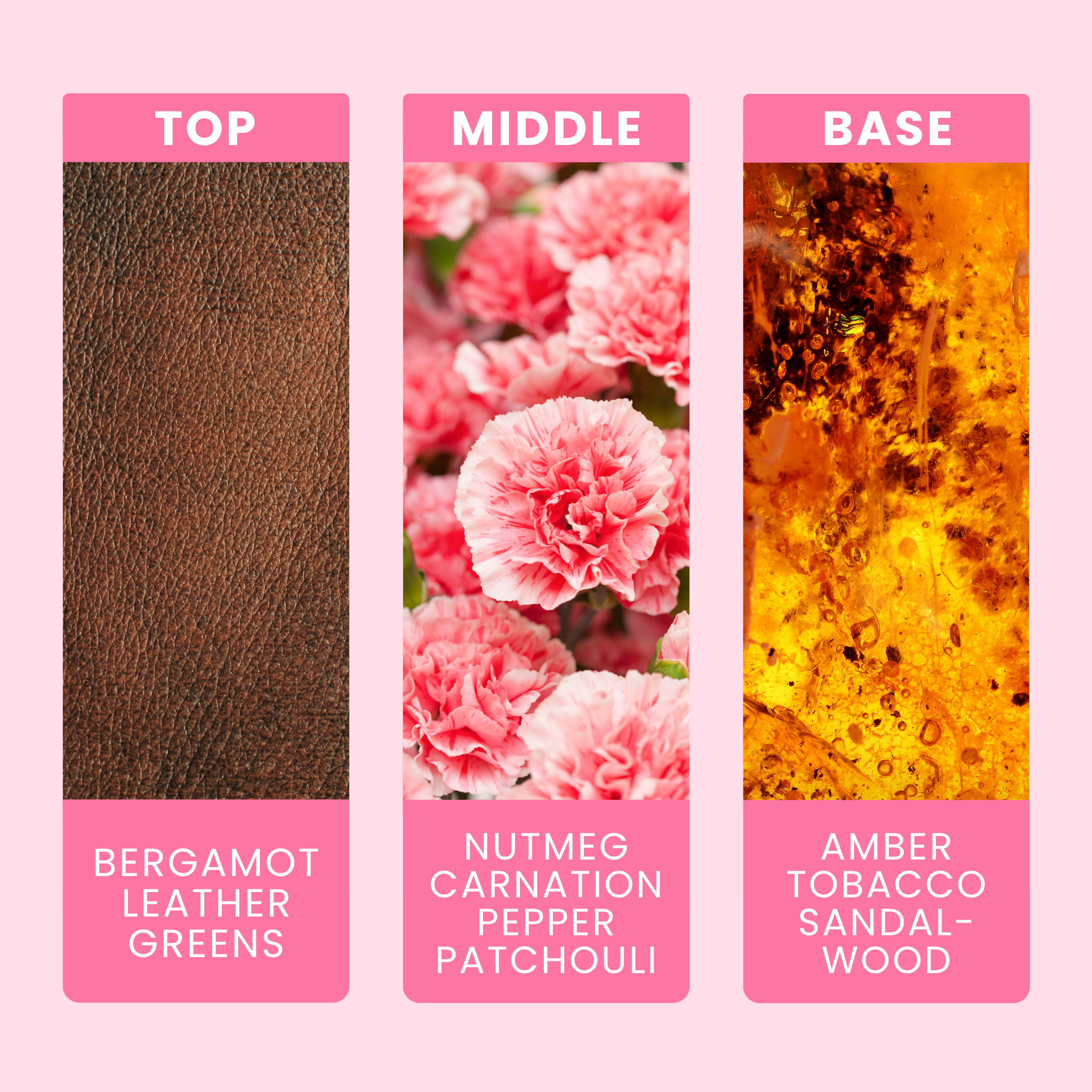 Antique Bookstore Fragrance Oil Notes For Candles