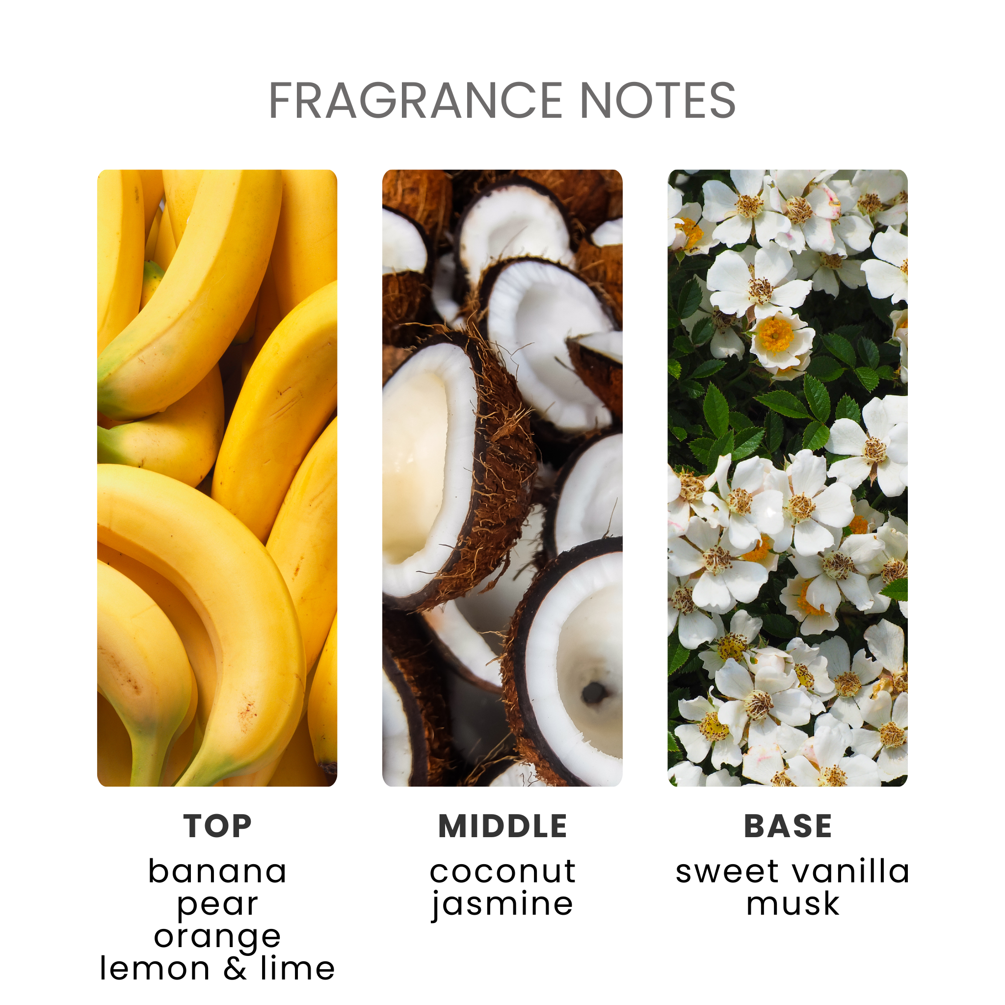 Banana Cabana Fragrance Oil Notes