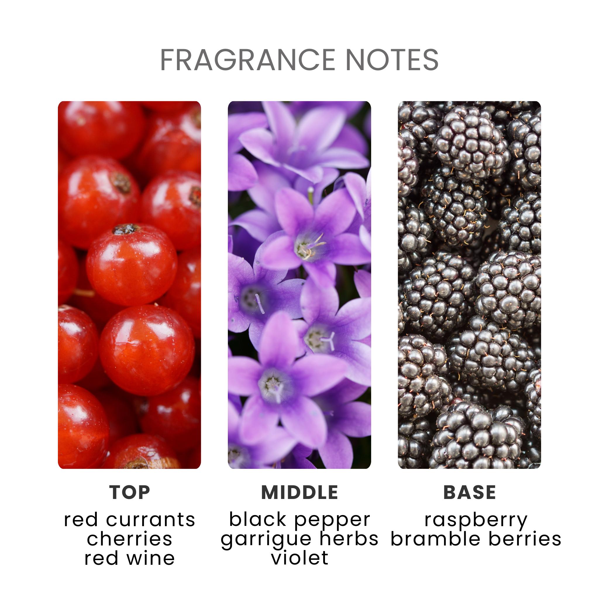 Bramble Berry Bliss Fragrance Oil Notes