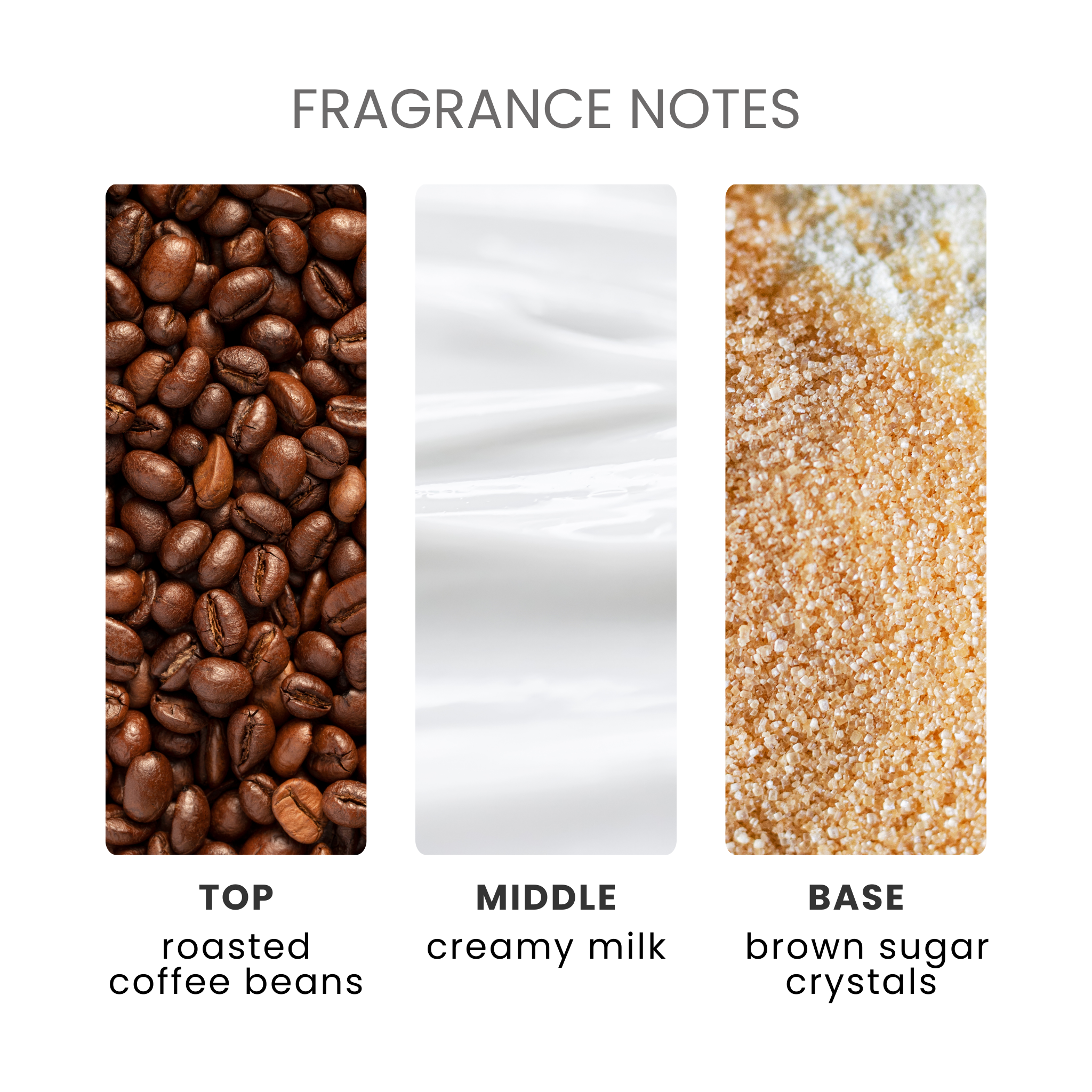 Café Au Lait Fragrance Oil Notes