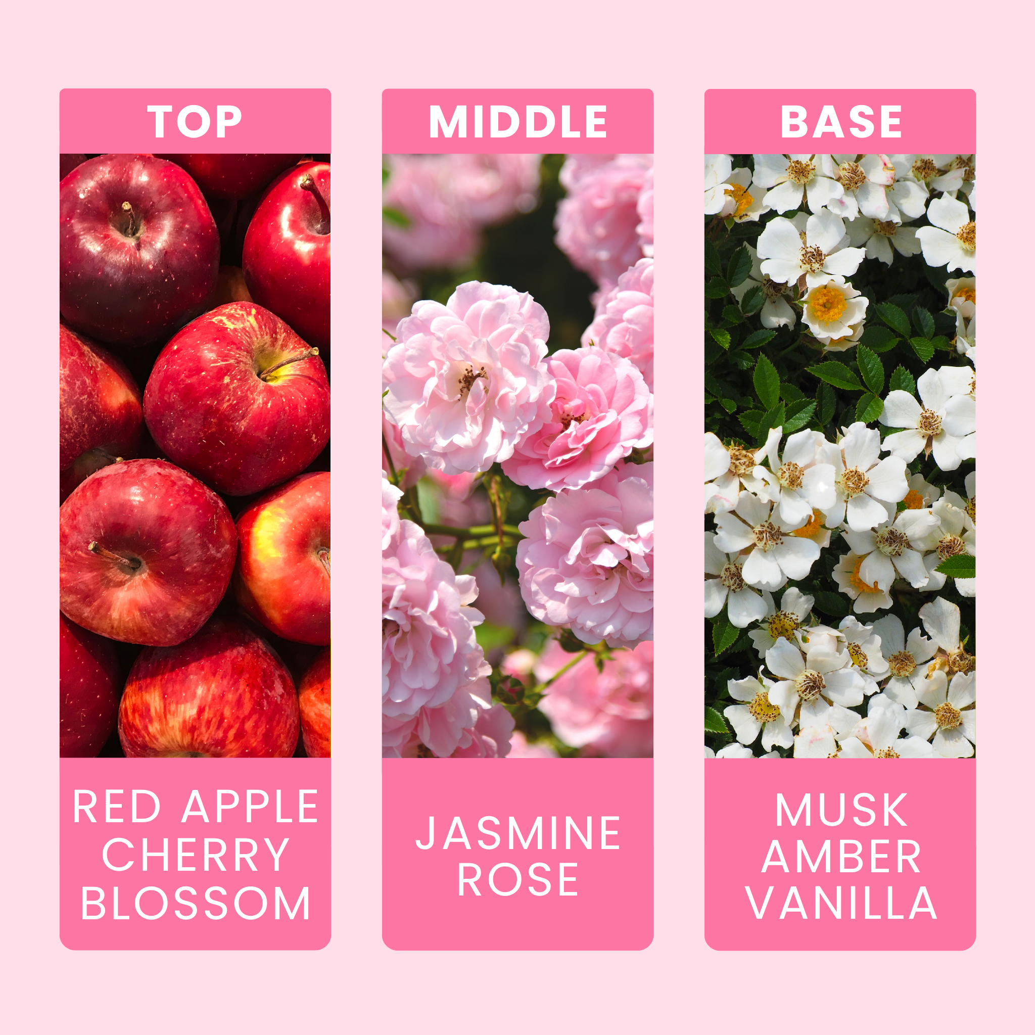 Cherry Blossom Fragrance Notes For Wax Melts