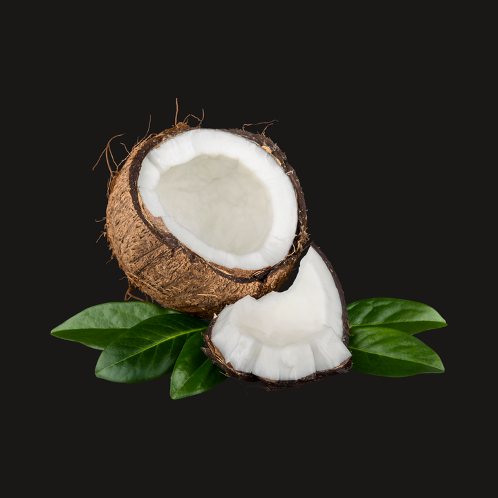 Dark Coconut Fragrance Oil