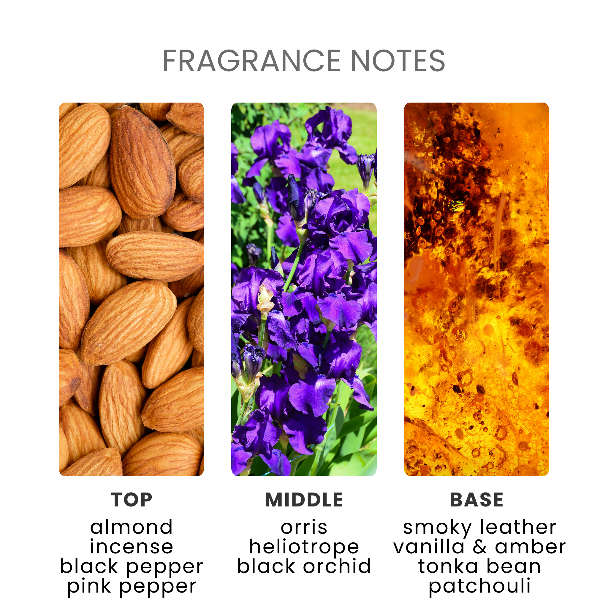 Delphinus Fragrance Oil Notes