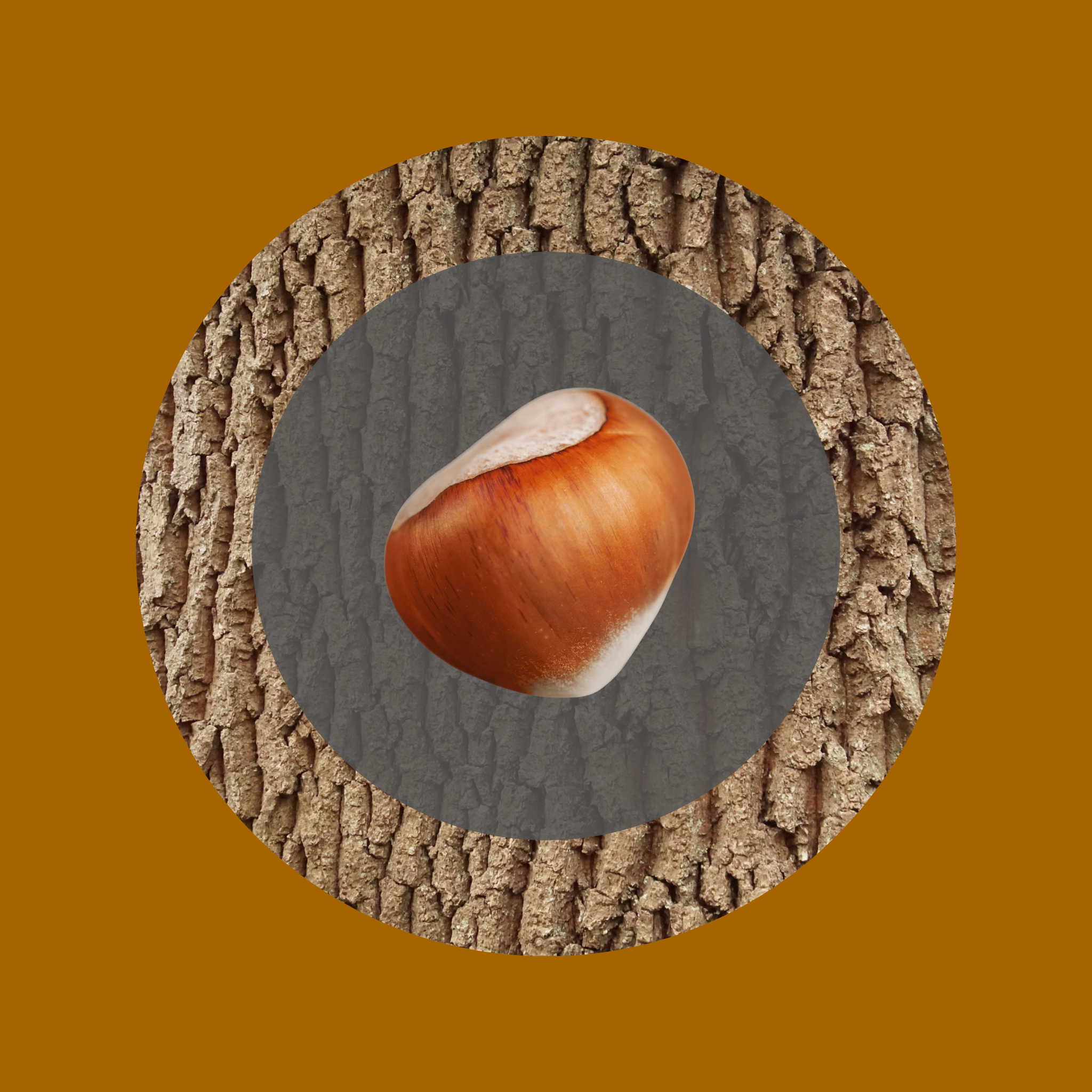 English Oak & Hazelnut Fragrance Oil