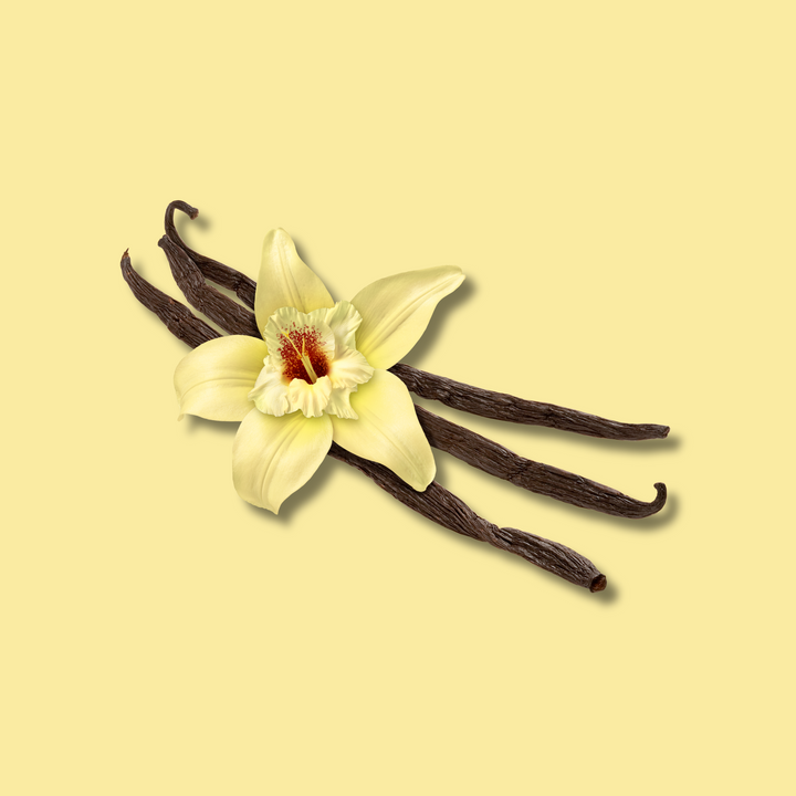 French Vanilla Fragrance Oil