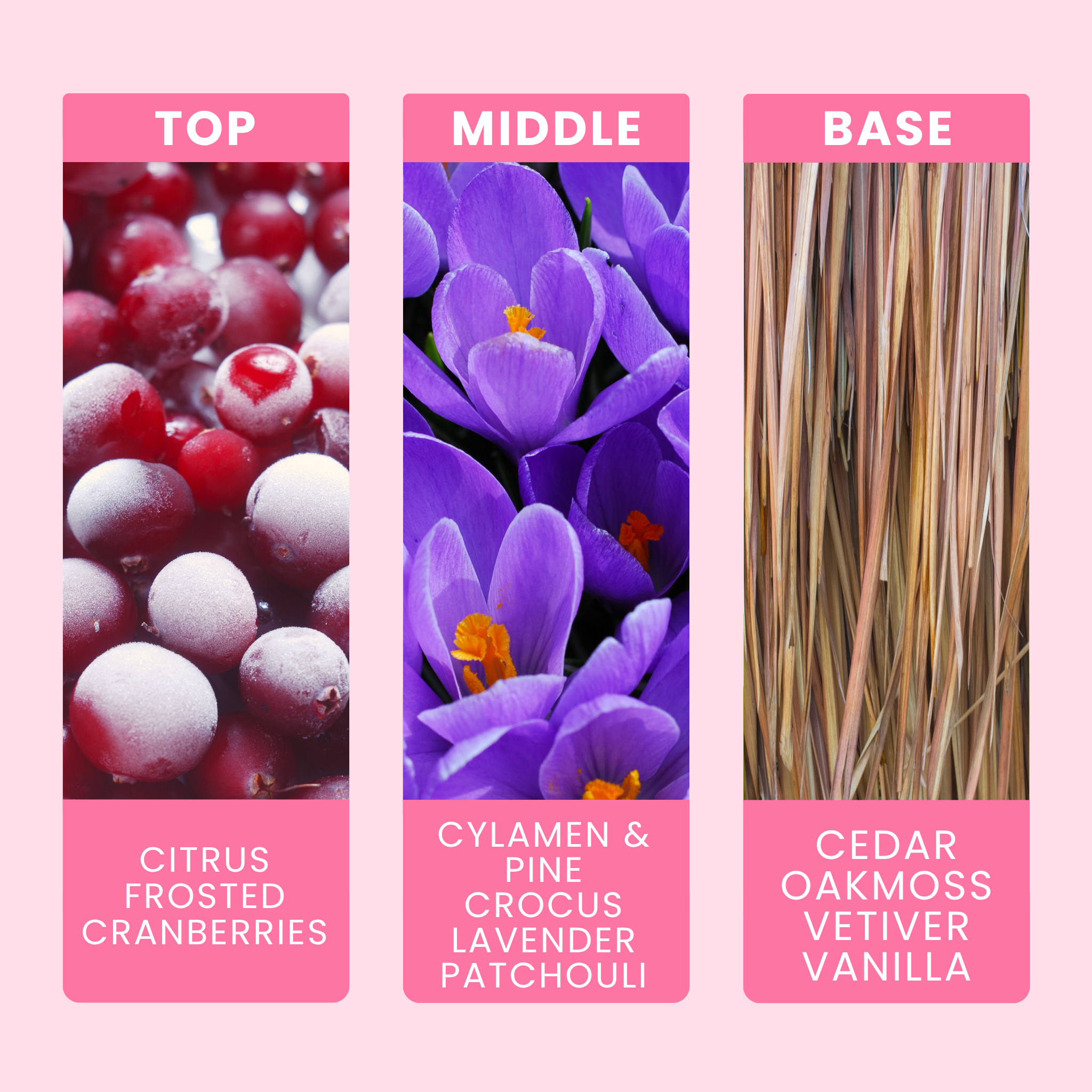 Frosted Citrus Forest Fragrance Oil Notes For Wax Melts