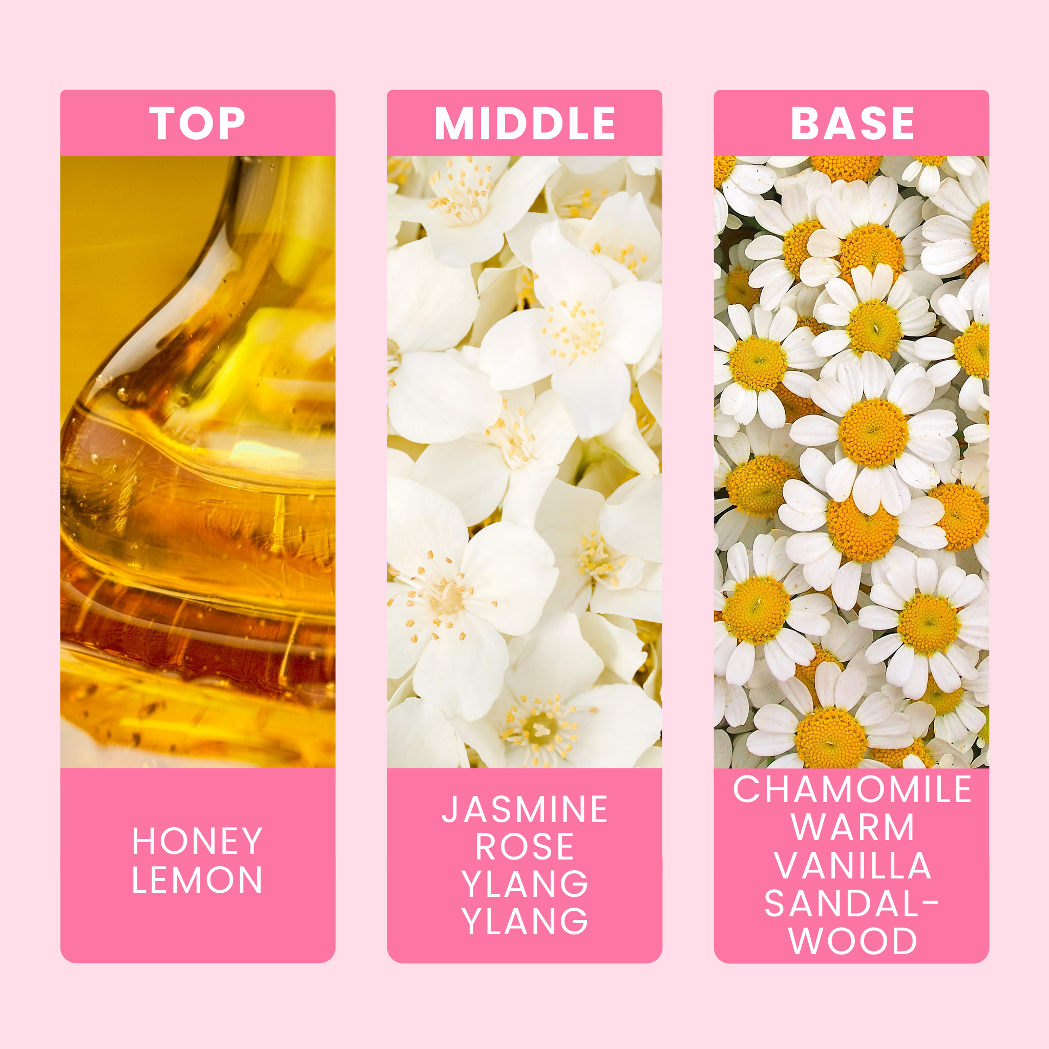 Honey Fragrance Notes For Candles