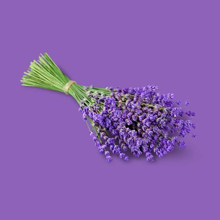 Lavender Fragrance Oil