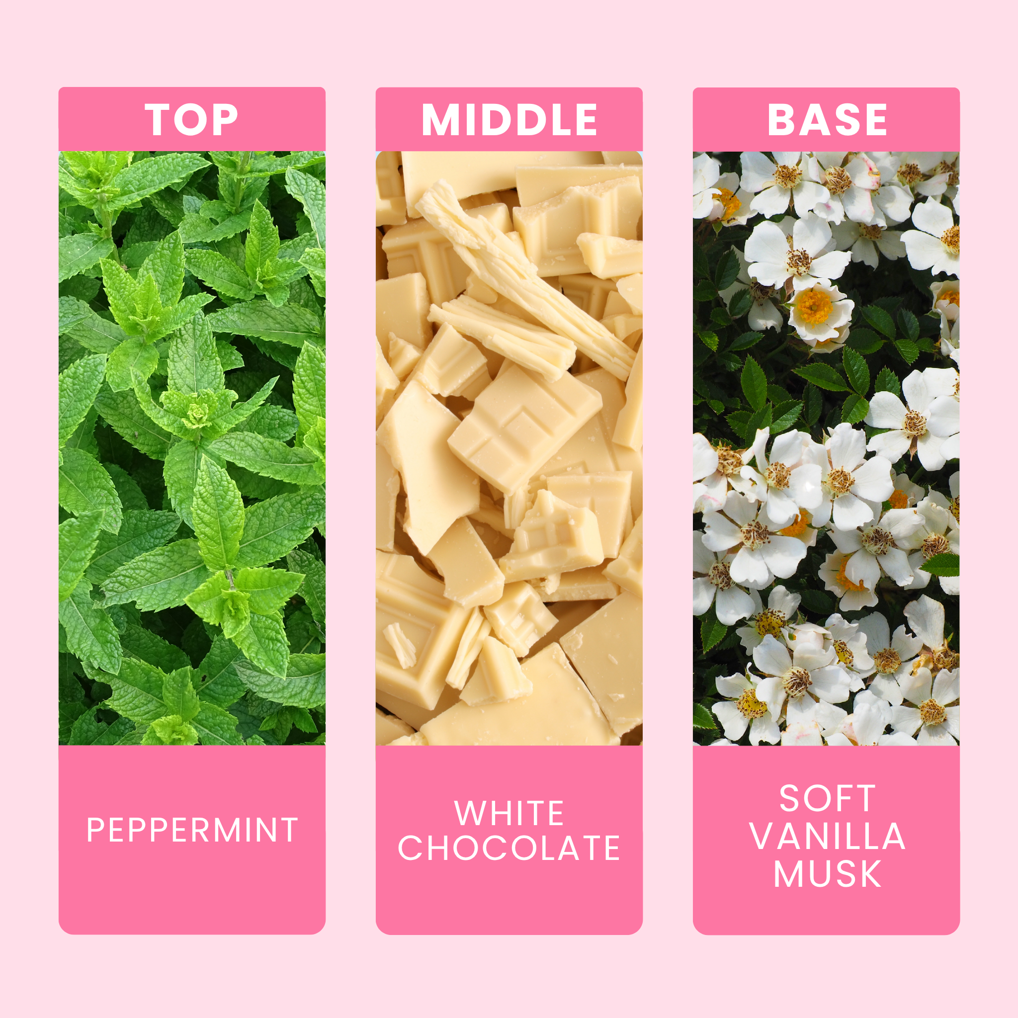 Mint Chocolate Fragrance Notes For Candles