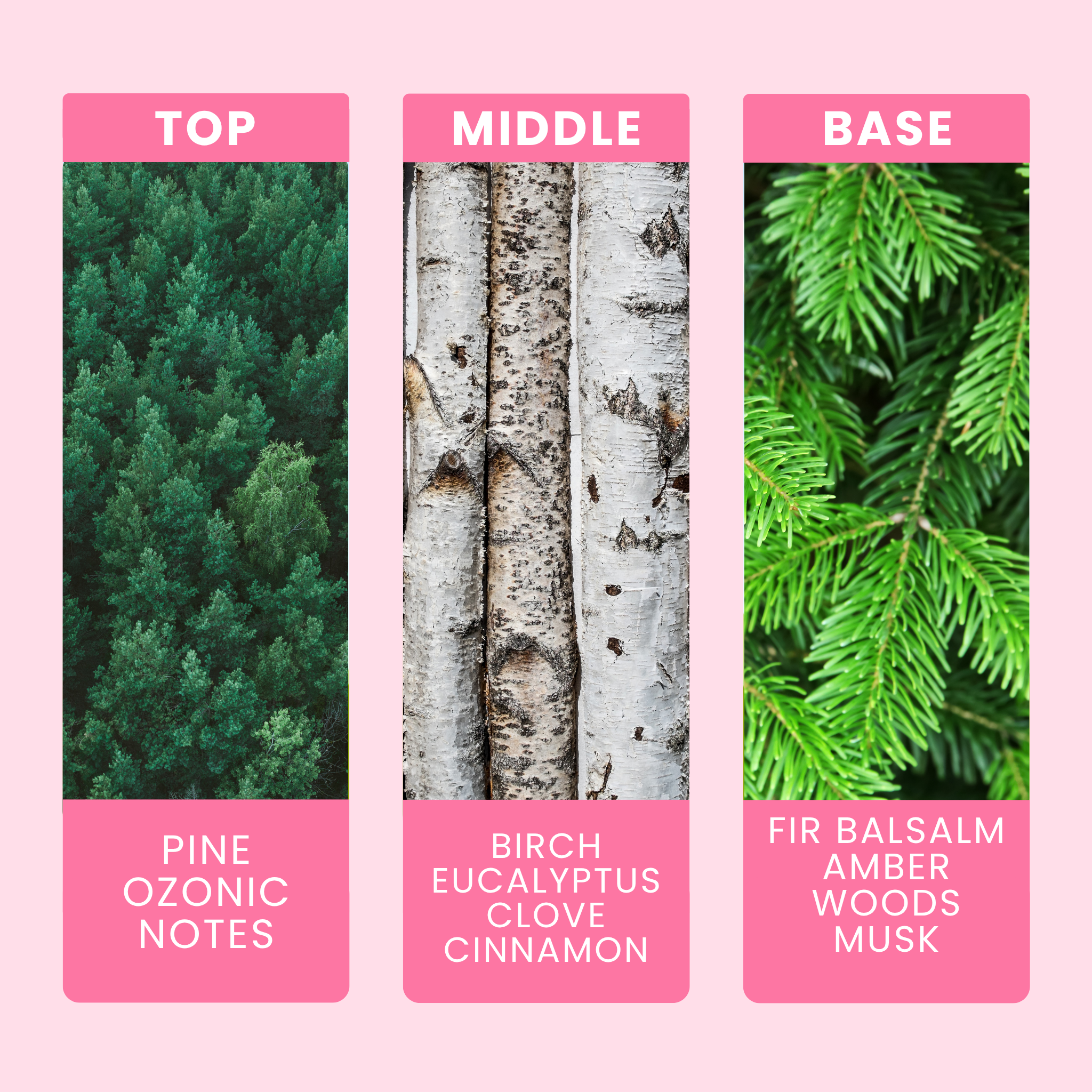 Pine-ing For You Fragrance Oil Notes For Wax Melts