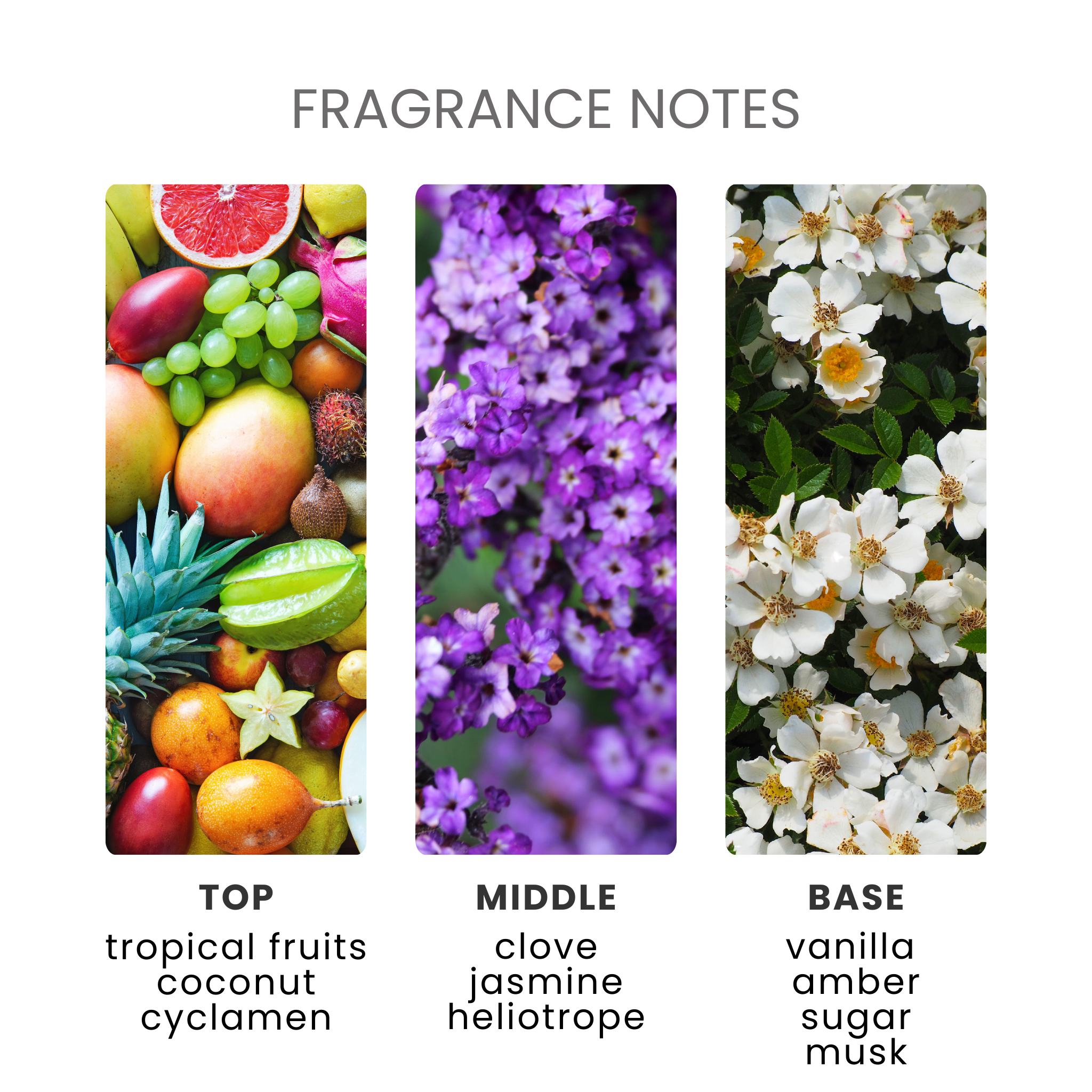 Seychelles Fragrance Oil Notes
