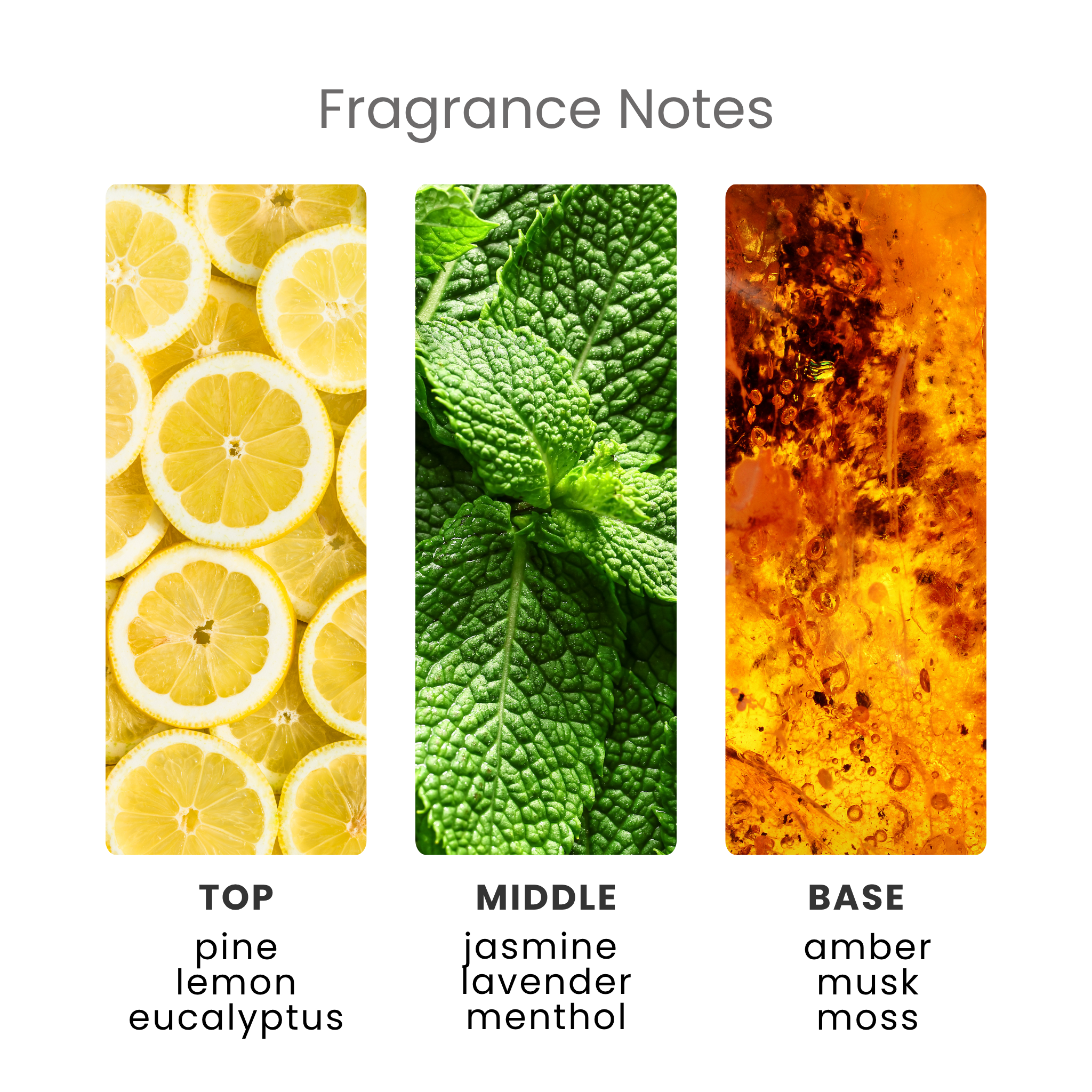 Snowkissed Lodge Fragrance Oil Notes