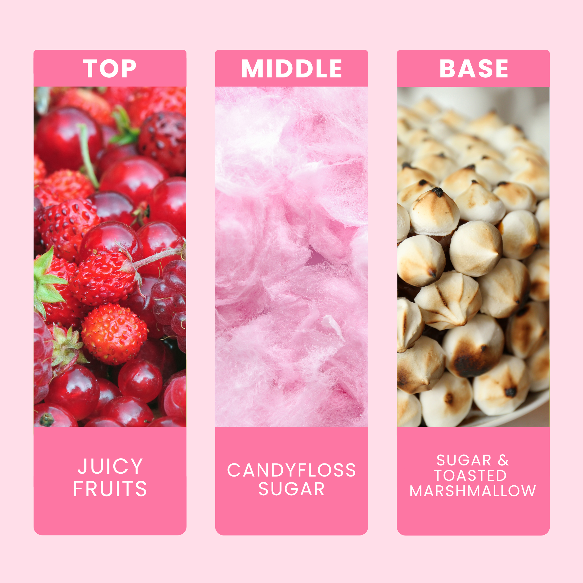 Toasted Marshmallow Fragrance Notes For Candles & Wax Melts