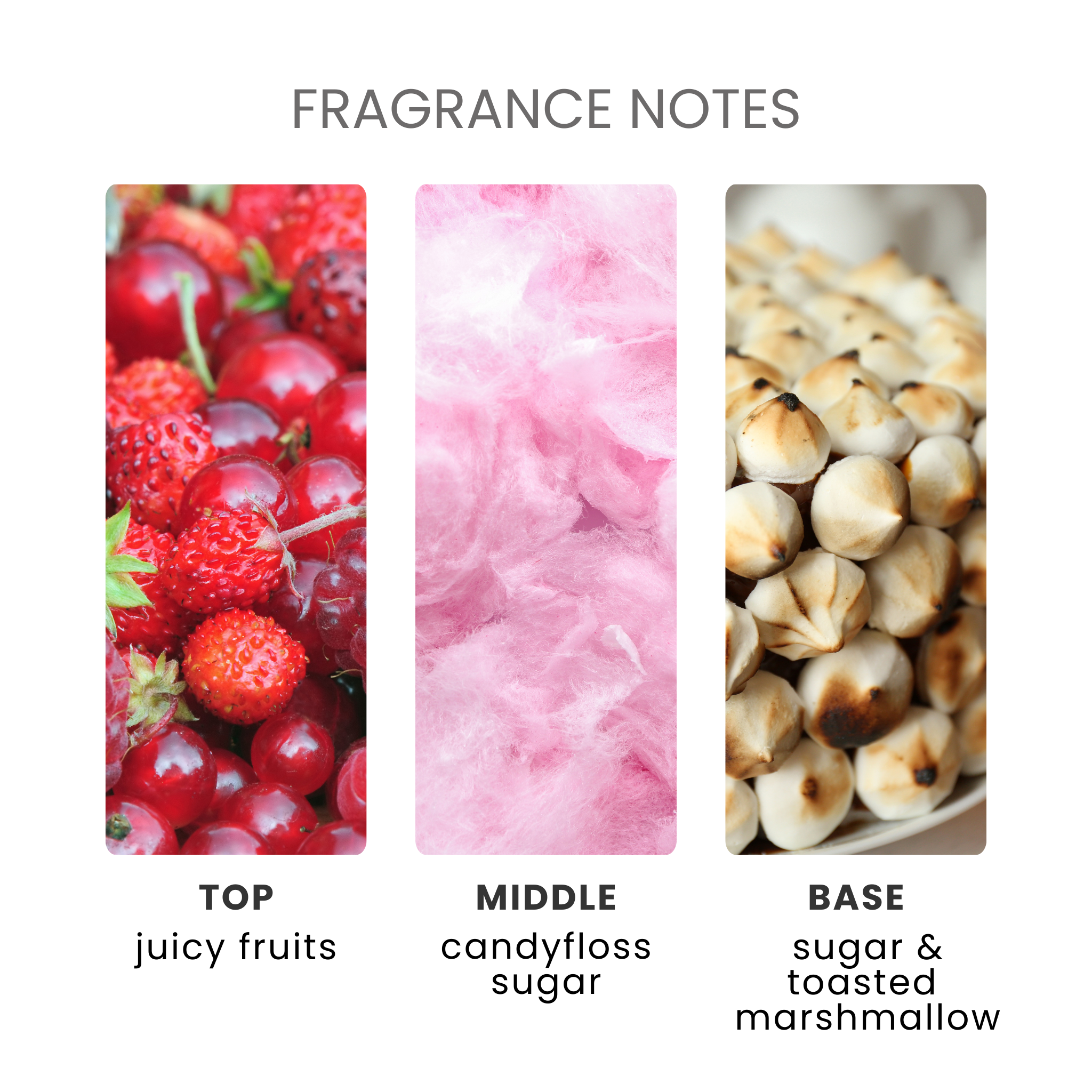 Toasted Marshmallow Fragrance Oil Notes