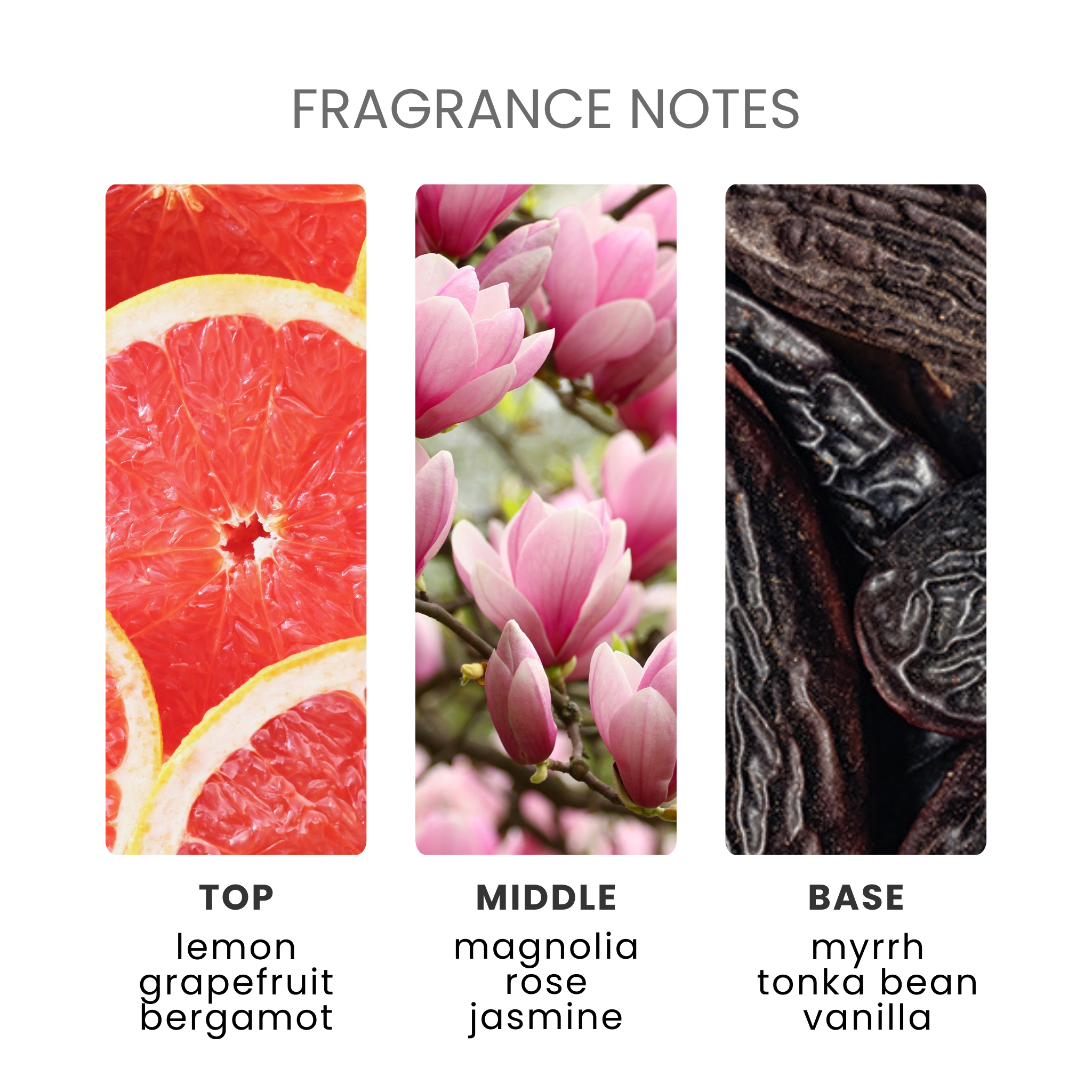 Tonka Bean & Myrrh Fragrance Oil Notes