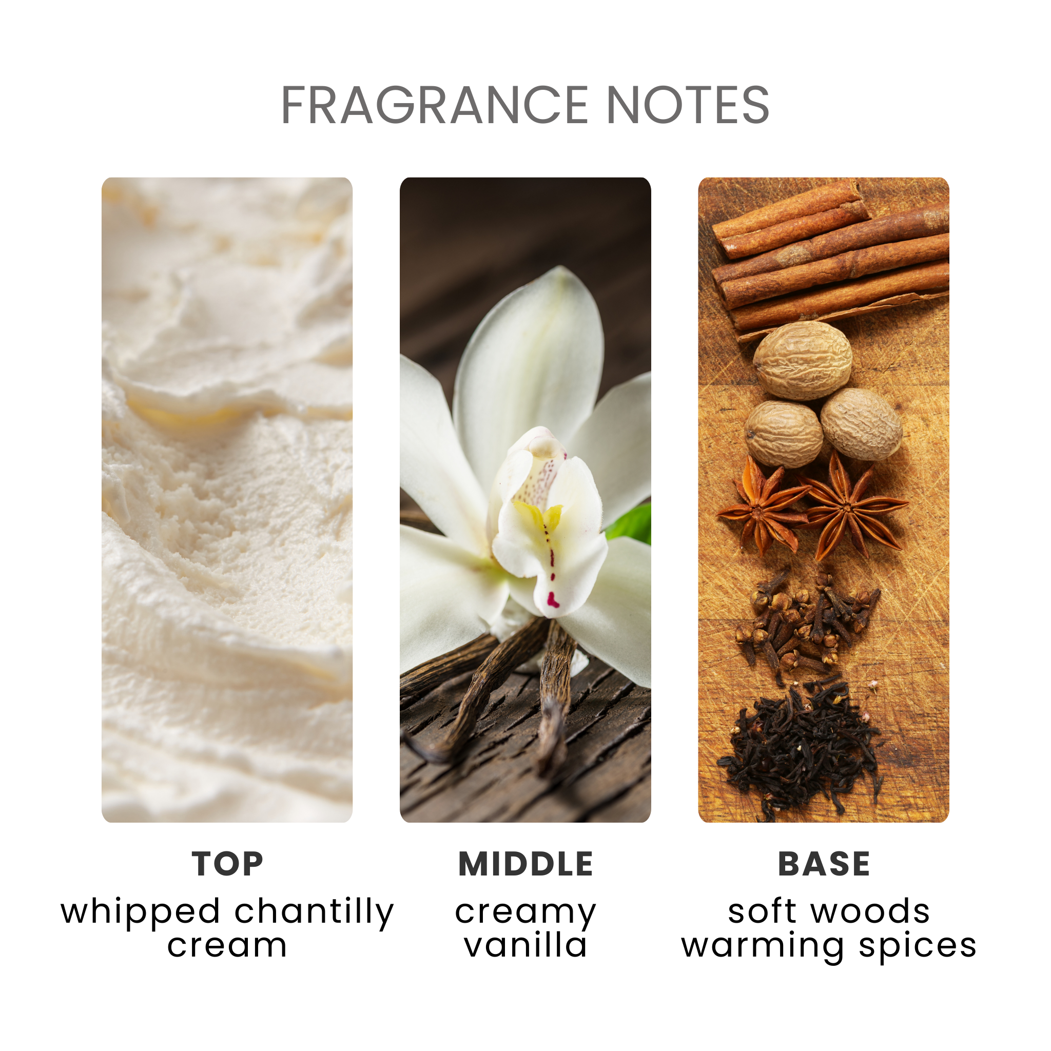 Vanilla Chantilly Fragrance Oil Notes