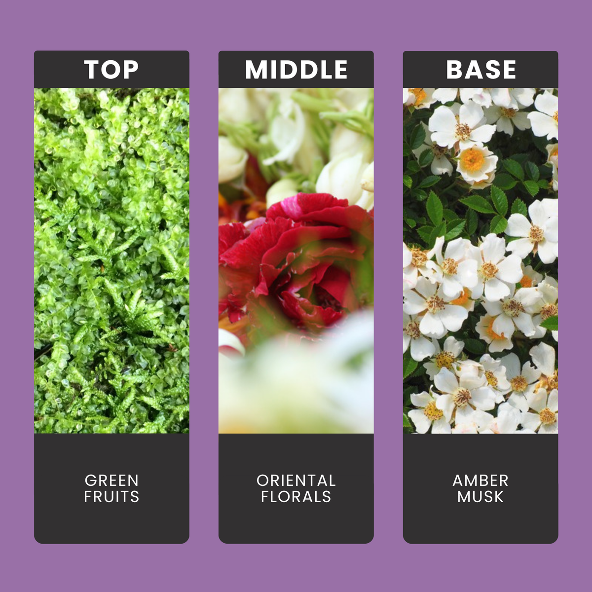 Alien Invasion fragrance oil notes: top – green fruits; middle – oriental florals; base – amber, musk