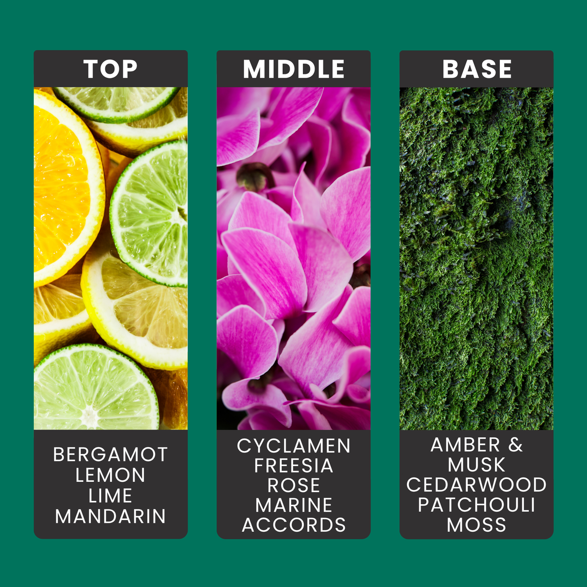 aqua-minerals-and-sea-kelp-fragrance-oil-notes