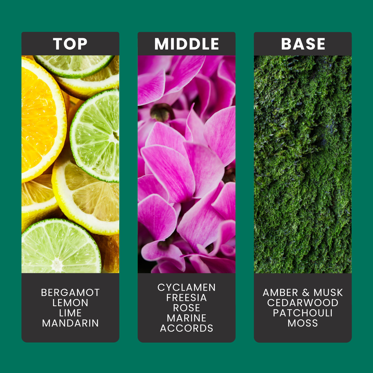 Aqua Minerals & Sea Kelp fragrance oil notes: top – bergamot, lemon, lime, mandarin; middle – cyclamen, freesia, rose, marine accords; base – amber & musk, cedarwood, patchouli, moss