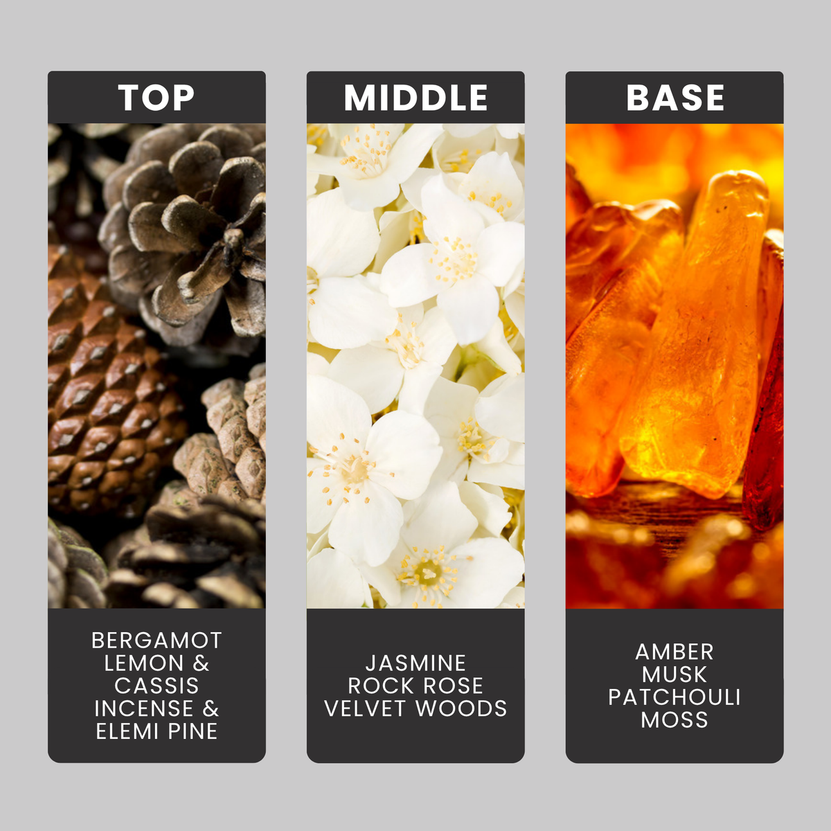 Aventos For Men fragrance oil notes: top – bergamot, lemon & cassis, incense & elemi pine; middle – jasmine, rock rose, velvet woods; base – amber, musk, patchouli, moss