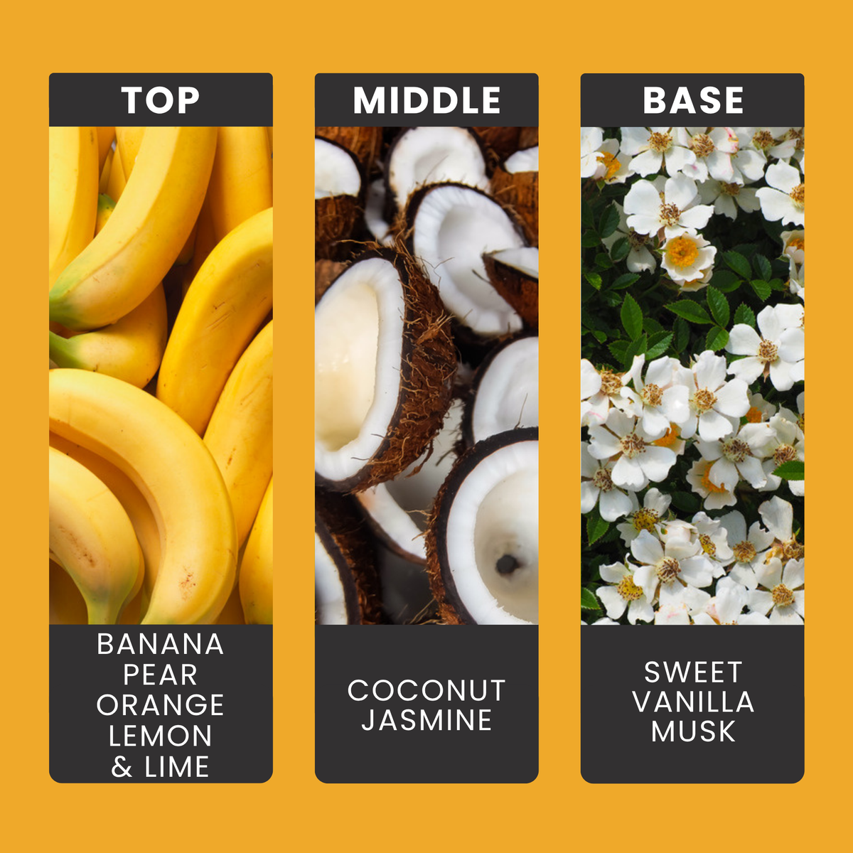 Banana Cabana fragrance oil notes: creamy banana with pear, orange and lime over coconut, vanilla and musk
