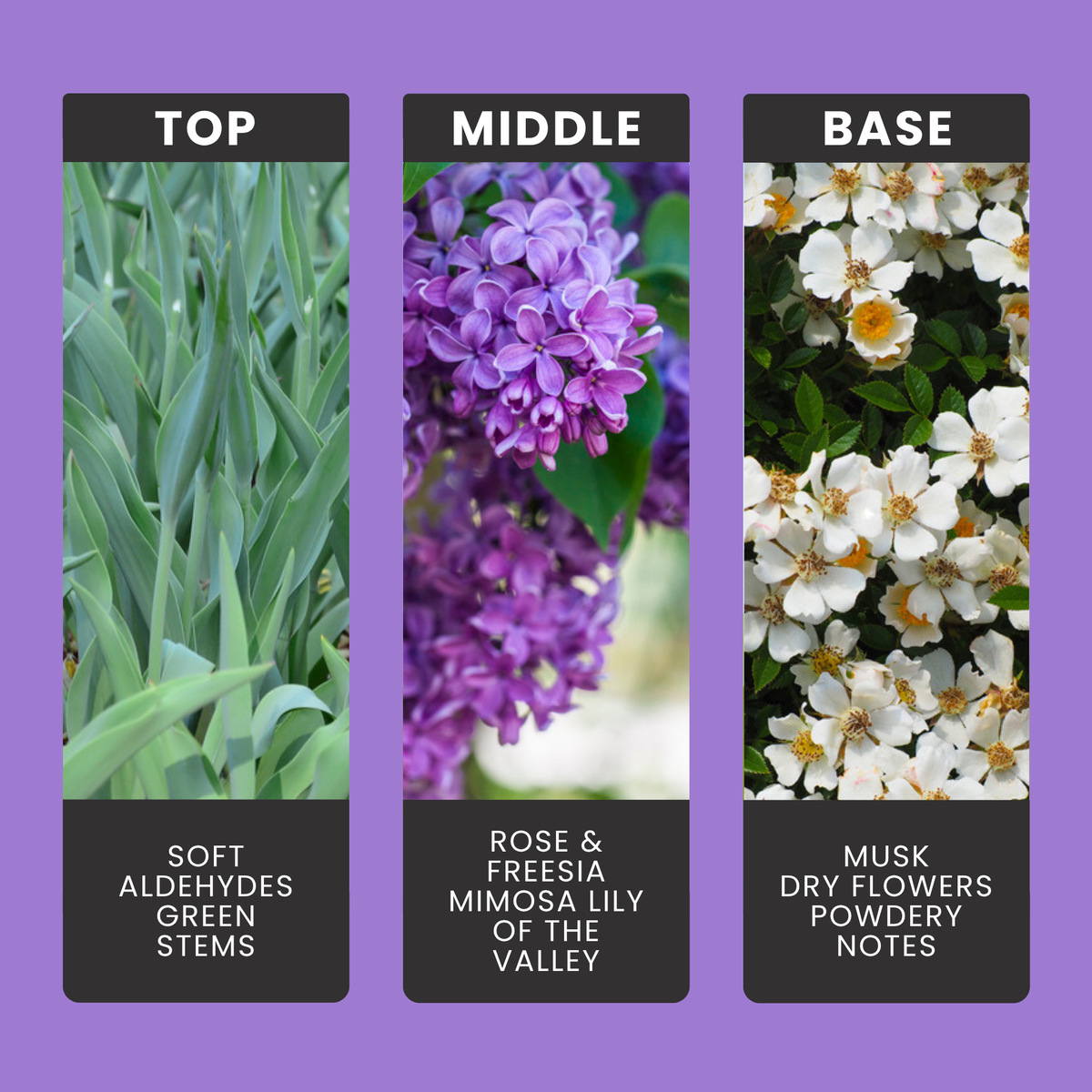Bedtime Baby fragrance oil notes: top – soft aldehydes, green stems; middle – rose & freesia, mimosa, lily of the valley; base – musk, dry flowers, powdery notes