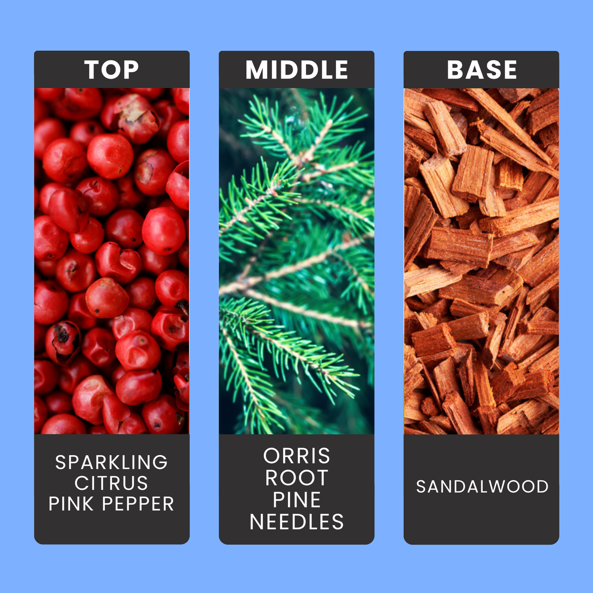 Blue Spruce & Eucalyptus fragrance oil notes: citrus, pink pepper and eucalyptus with orris, pine needles and sandalwood