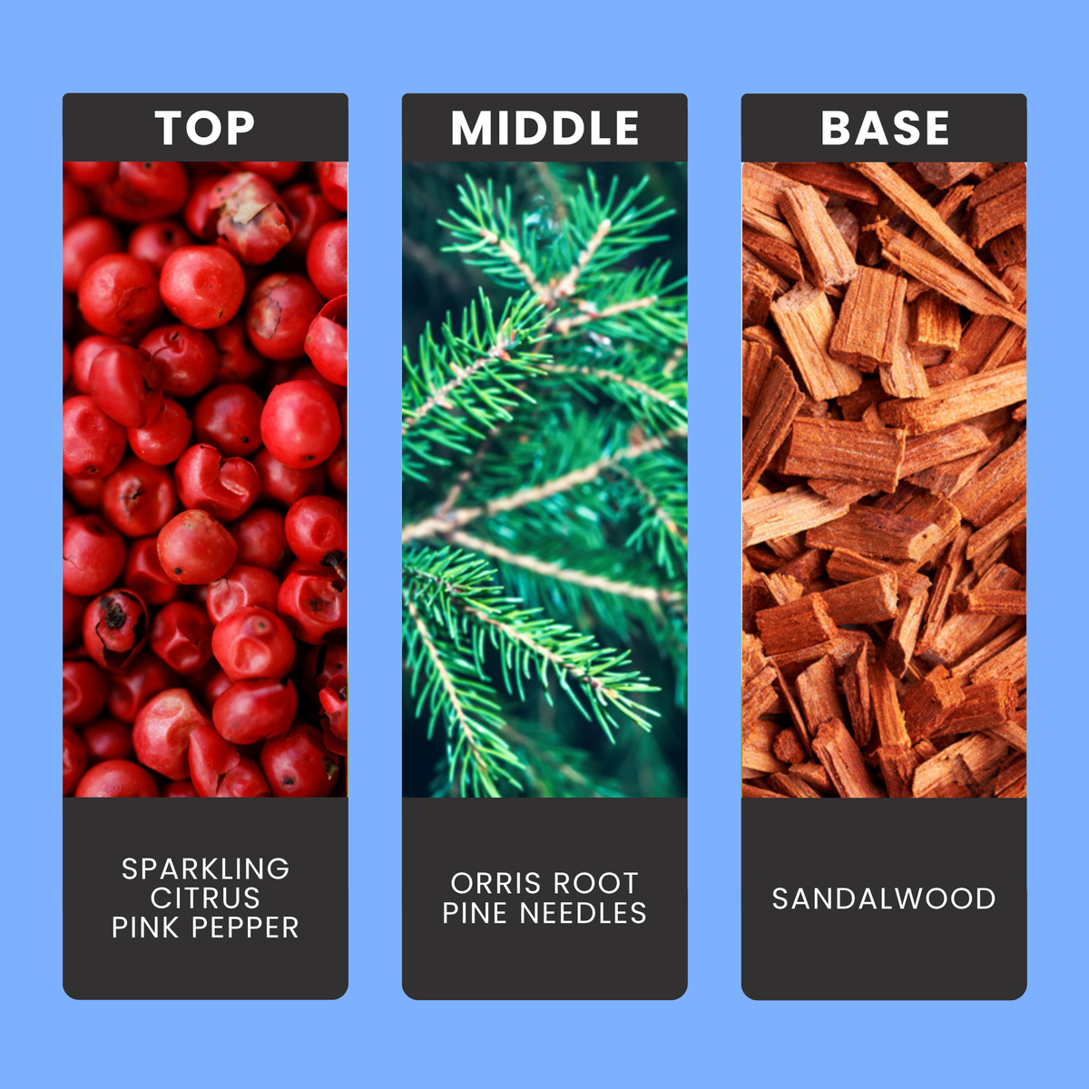 Blue Spruce & Eucalyptus fragrance oil notes: top – sparkling citrus, pink pepper; middle – orris root, pine needles; base – sandalwood