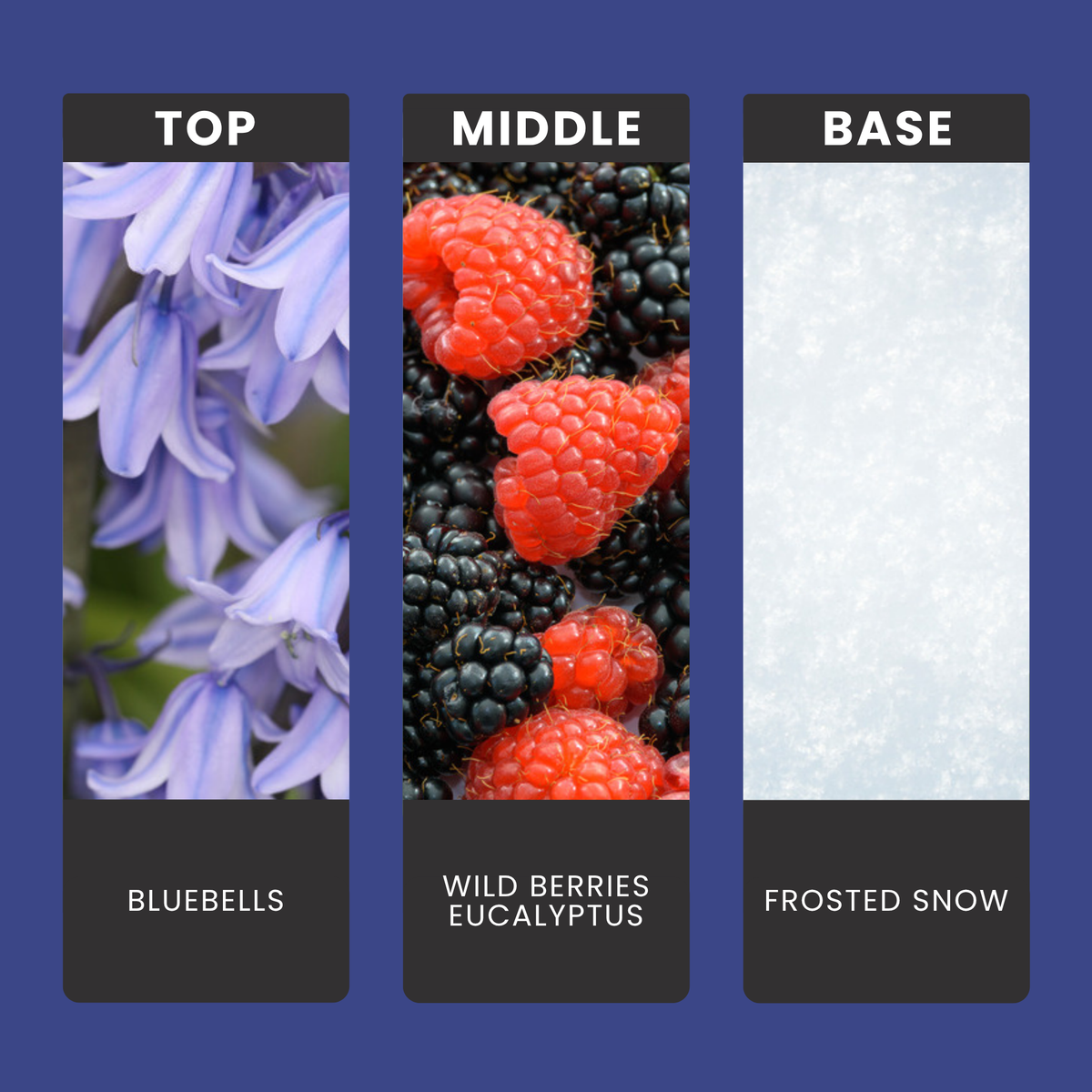 Bluebells & Wild Berries fragrance oil notes: top – bluebells; middle – wild berries, eucalyptus; base – frosted snow