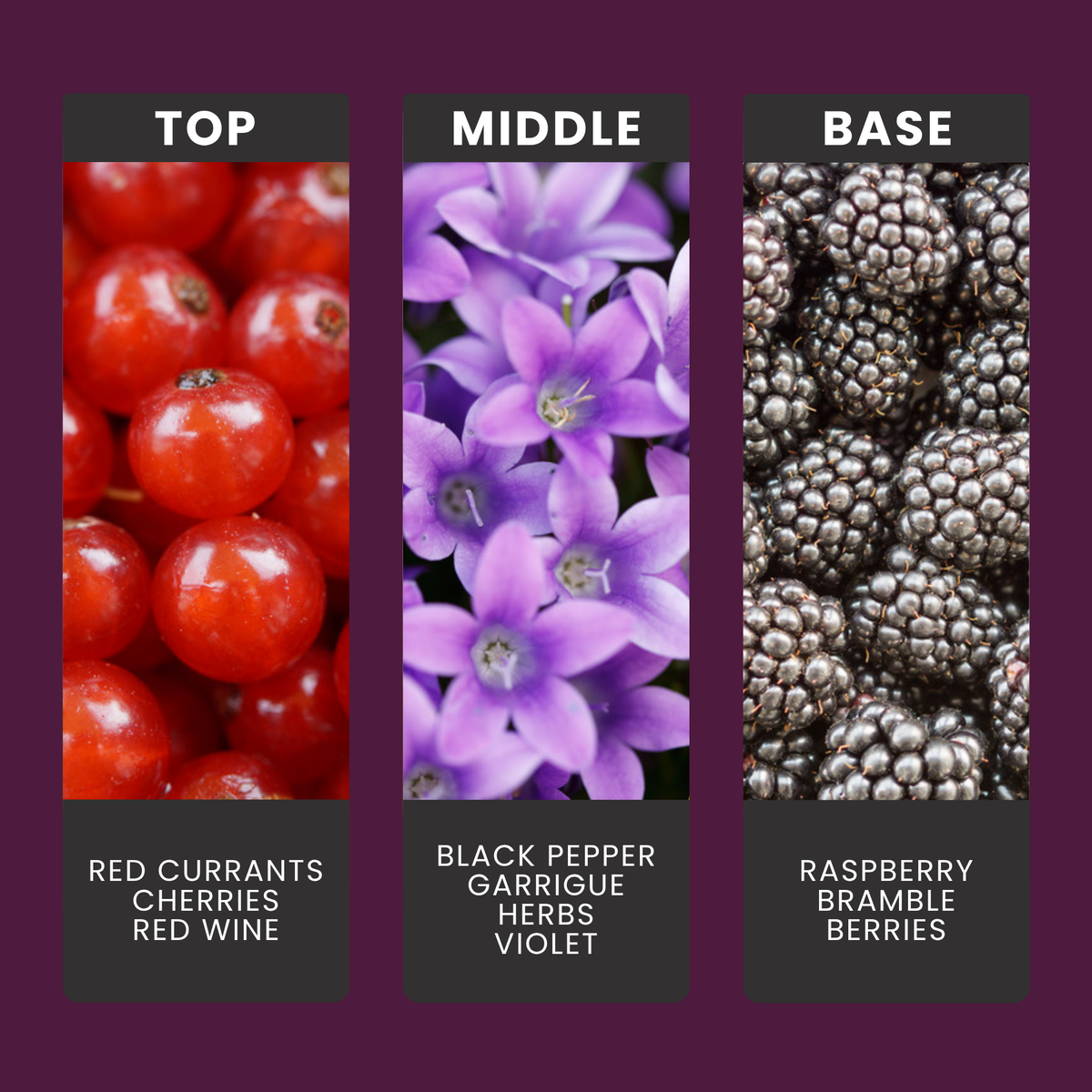 Bramble Berry Bliss fragrance oil notes: top – red currants, cherries, red wine; middle – black pepper, garrigue herbs, violet; base – raspberry, bramble berries