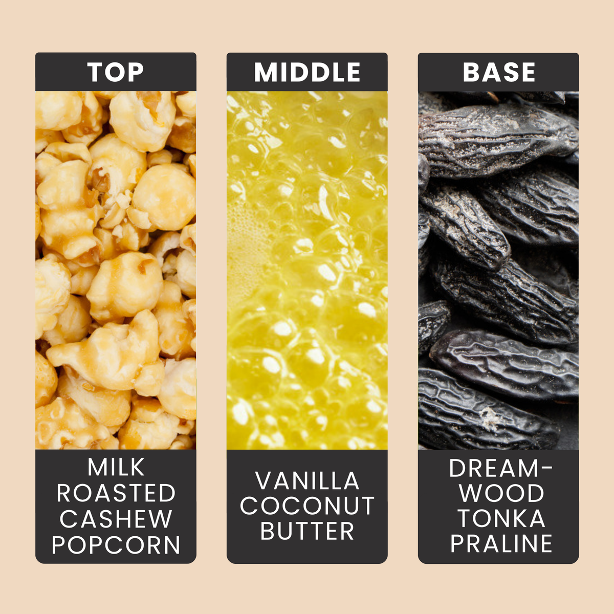 Butter Me Up fragrance oil notes: milk, roasted cashew, popcorn and butter with vanilla, coconut, tonka and praline