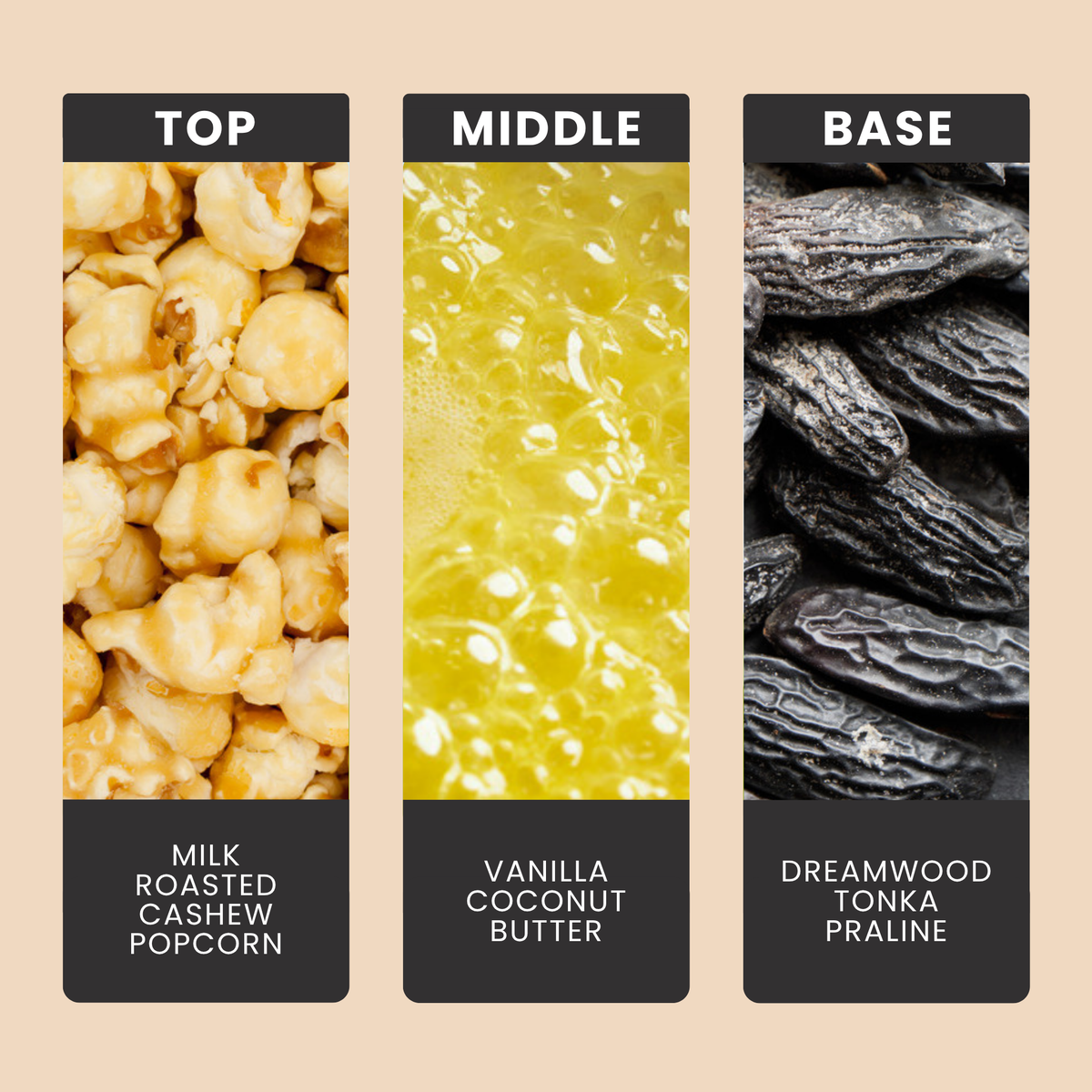 Butter Me Up fragrance oil notes: top – milk, roasted cashew, popcorn; middle – vanilla, coconut, butter; base – dreamwood, tonka, praline