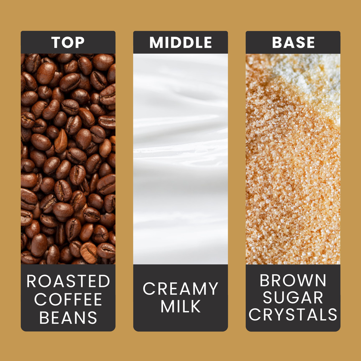 Café Au Lait fragrance oil notes: rich espresso and velvety milk over subtle brown sugar