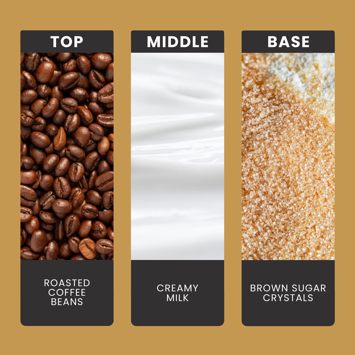 Café Au Lait fragrance oil notes: top – roasted coffee beans; middle – creamy milk; base – brown sugar crystals