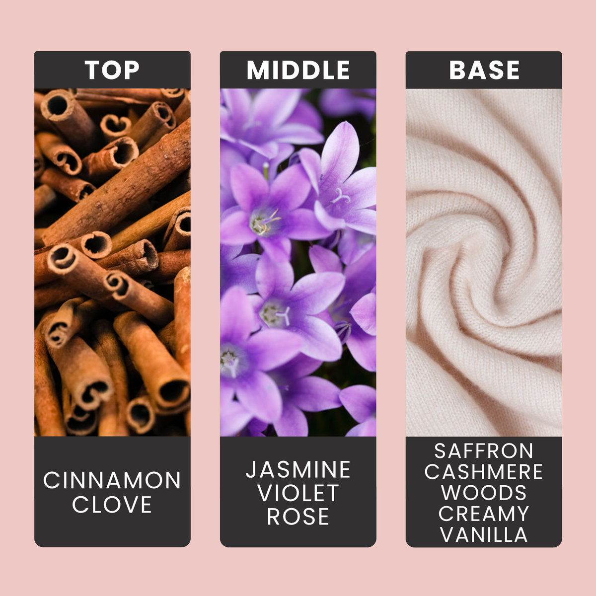 Cashmere & Musk fragrance oil notes: cinnamon and clove with jasmine, violet and rose over saffron, woods and cashmere