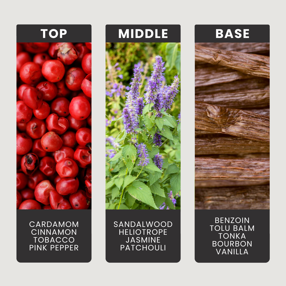Centaurus fragrance oil notes: top – cardamom, cinnamon, tobacco, pink pepper; middle – sandalwood, heliotrope, jasmine, patchouli; base – benzoin, tolu balm, tonka, bourbon vanilla