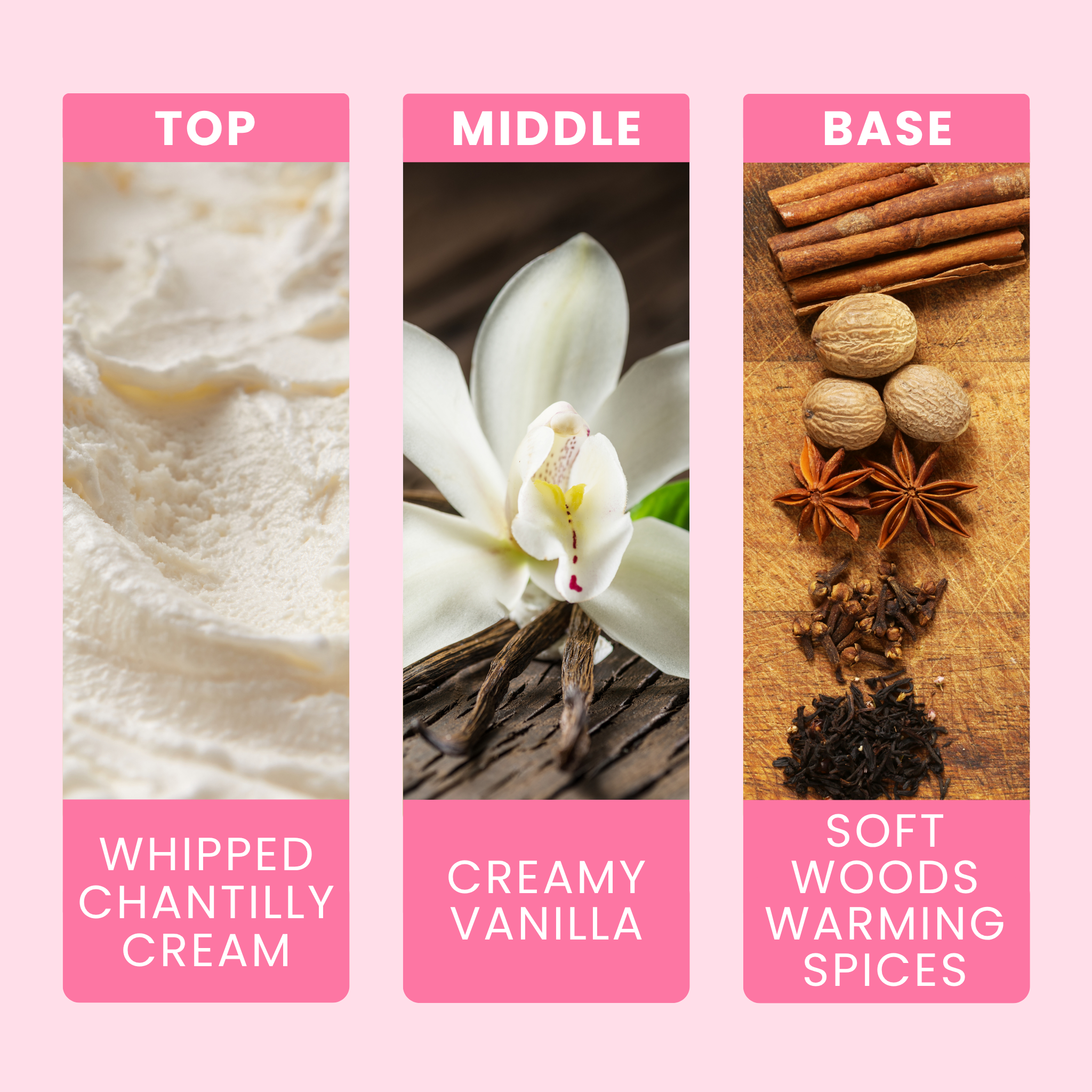 chantilly-creme-fragrance-oil-notes