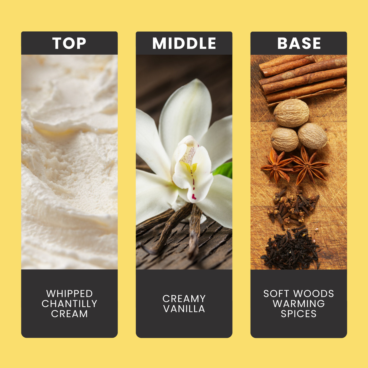 Chantilly Crème fragrance oil notes: top – whipped chantilly cream; middle – creamy vanilla; base – soft woods, warming spices