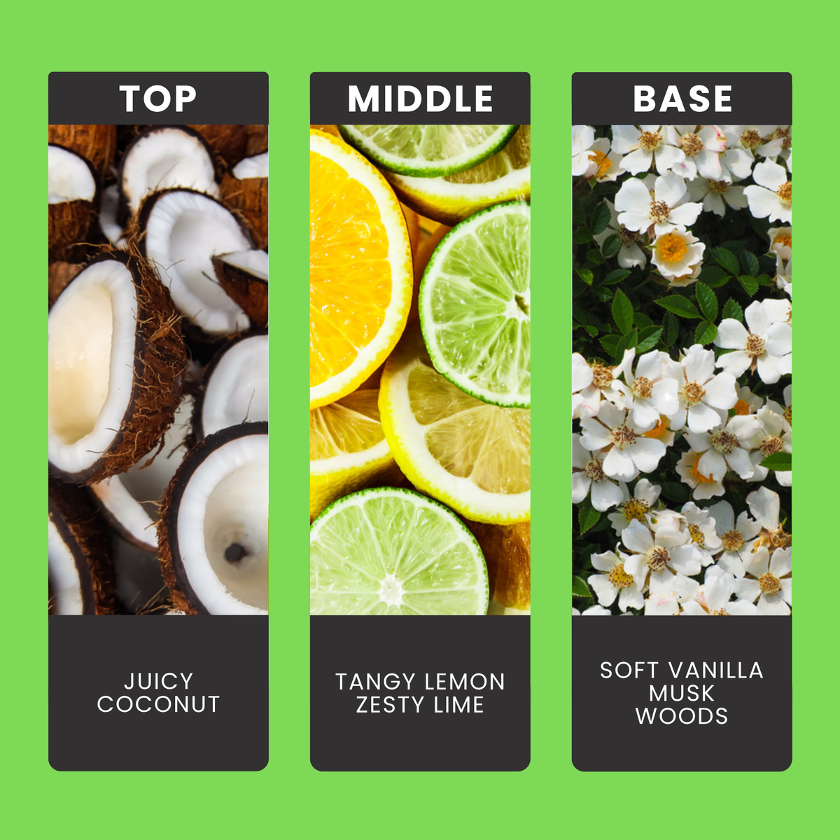Coconut & Lime fragrance oil notes: top – juicy coconut; middle – tangy lemon, zesty lime; base – soft vanilla, musk, woods