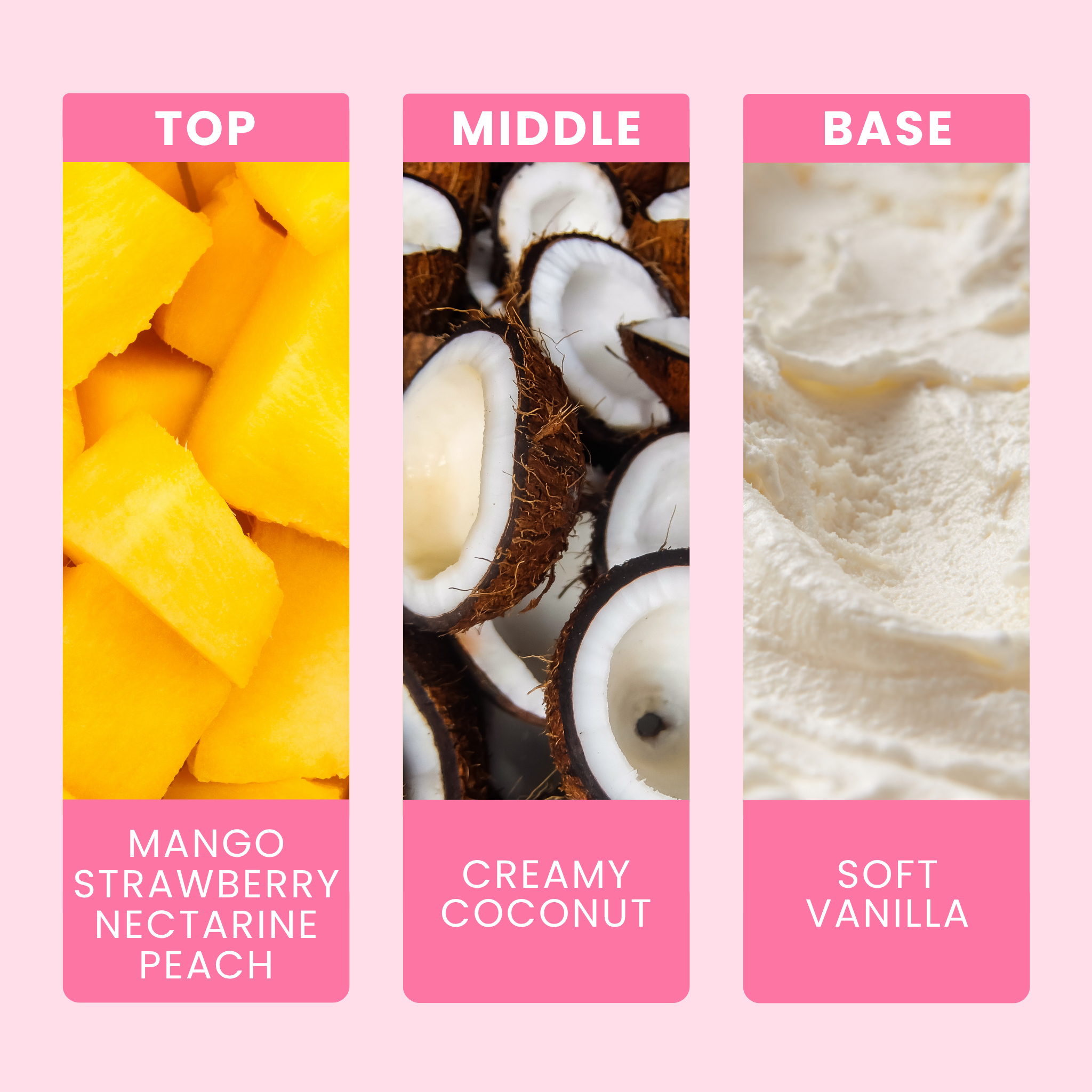 coconut-and-mango-fragrance-oil-notes