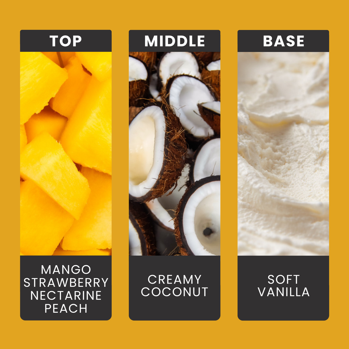 Coconut & Mango fragrance oil notes: creamy coconut with nectarine, peach, mango, strawberry and soft vanilla