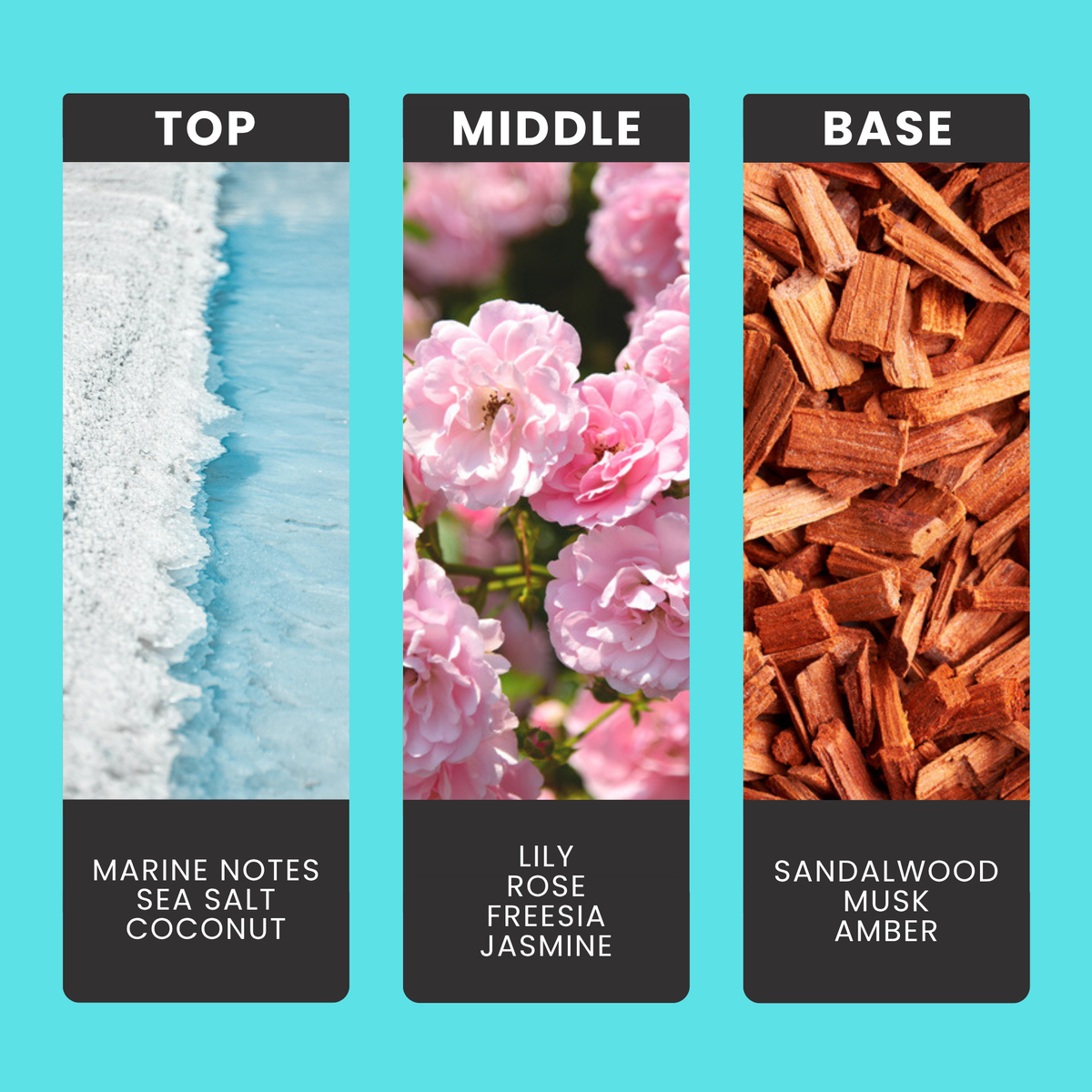 Coconut & Waterfall Blooms fragrance oil notes: top – marine notes, sea salt, coconut; middle – lily, rose, freesia, jasmine; base – sandalwood, musk, amber