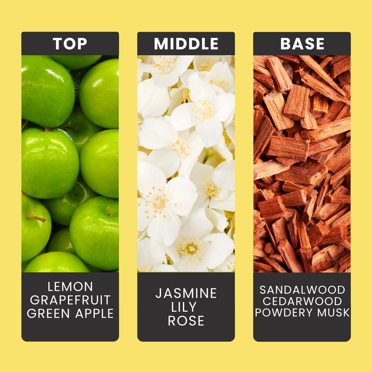 Daisy Chain fragrance oil notes: lemon, grapefruit and apple with jasmine, lily and rose over sandalwood and cedar