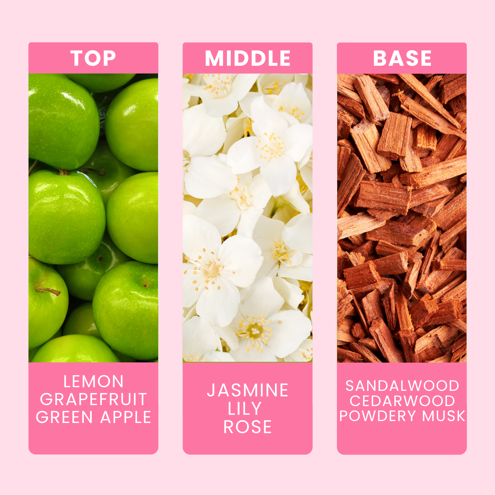 daisy-fragrance-oil-notes