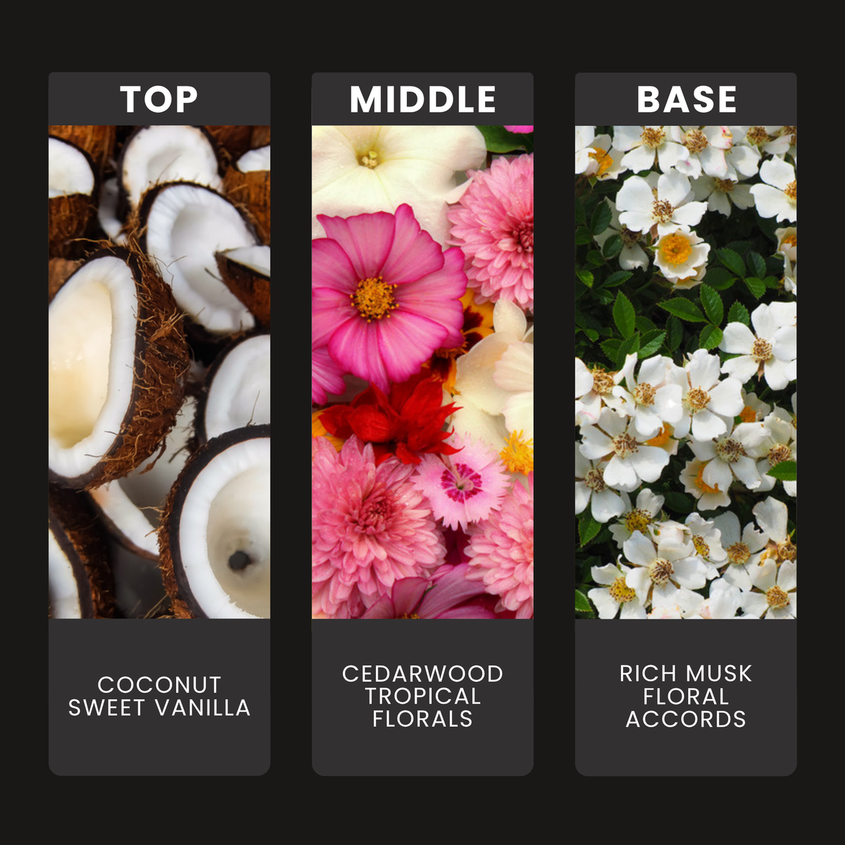 Dark Coconut fragrance oil notes: top – coconut, sweet vanilla; middle – cedarwood, tropical florals; base – rich musk, floral accords