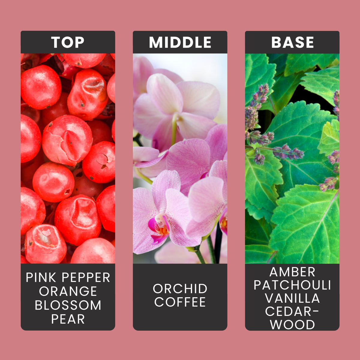 Dark Opium fragrance oil notes: pink pepper, orange blossom and pear with orchid, coffee, amber and vanilla