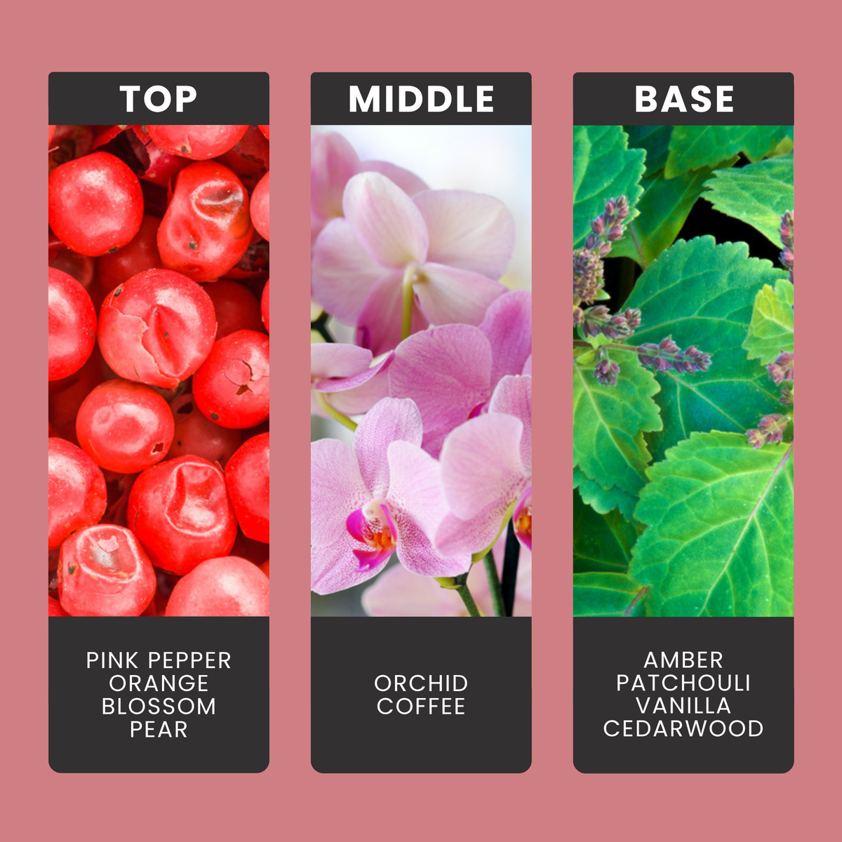 Dark Opium fragrance oil notes: top – pink pepper, orange blossom, pear; middle – orchid, coffee; base – amber, patchouli, vanilla, cedarwood
